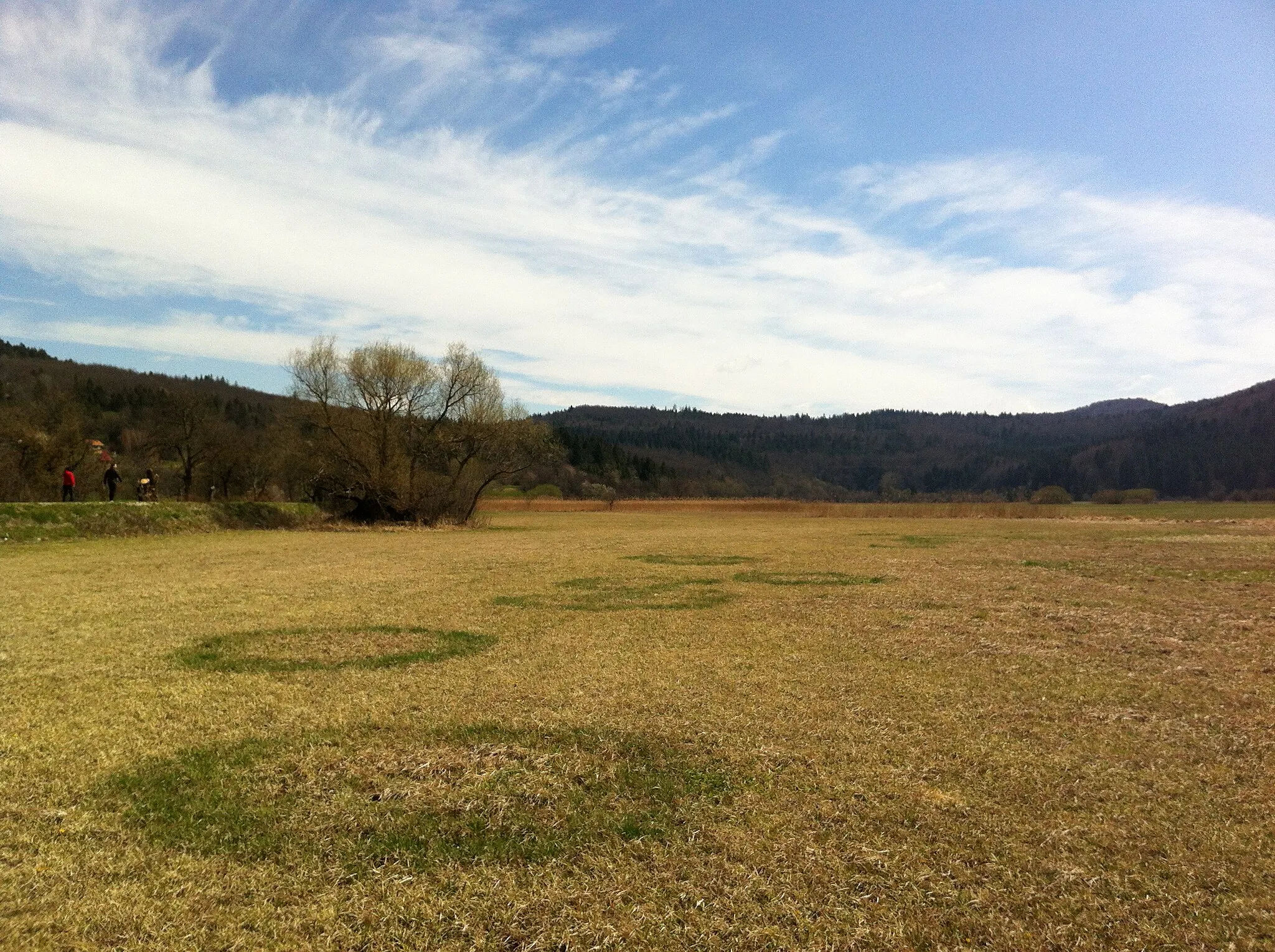 Photo showing: Lake Cerknica