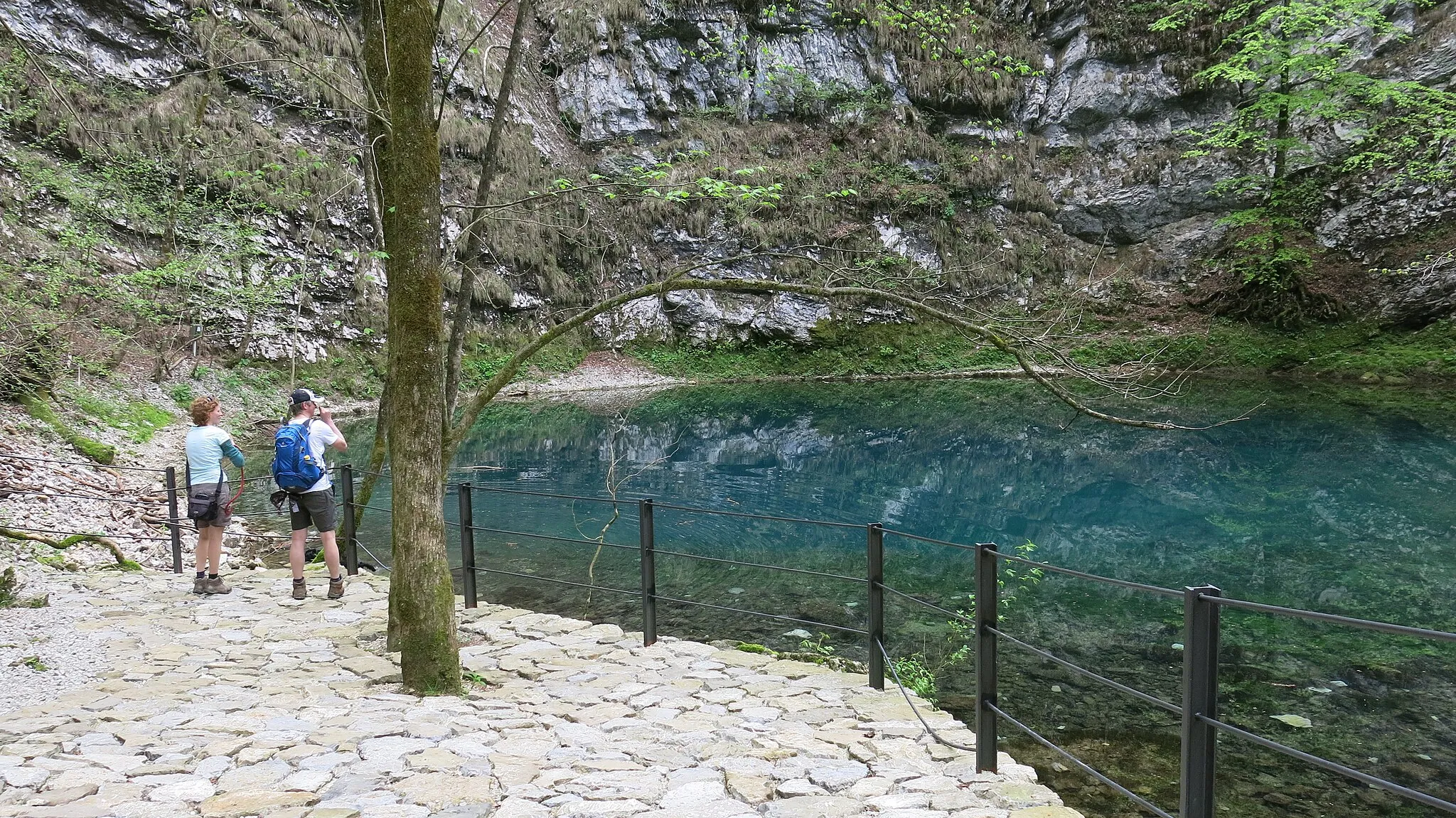 Photo showing: Divje jezero, april 2013