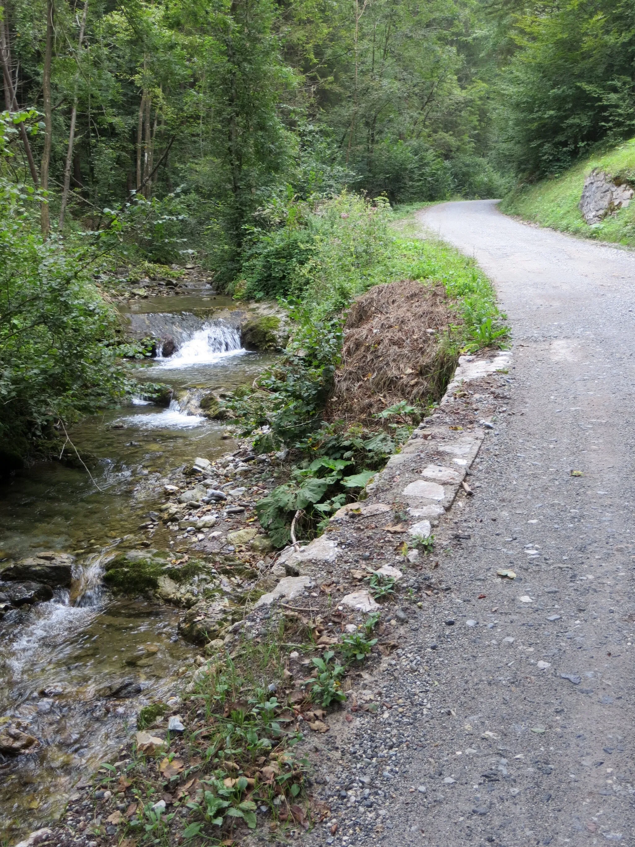 Photo showing: Podplečica Creek and road in Kopačnica, Municipality of Gorenja Vas–Poljane, Slovenia