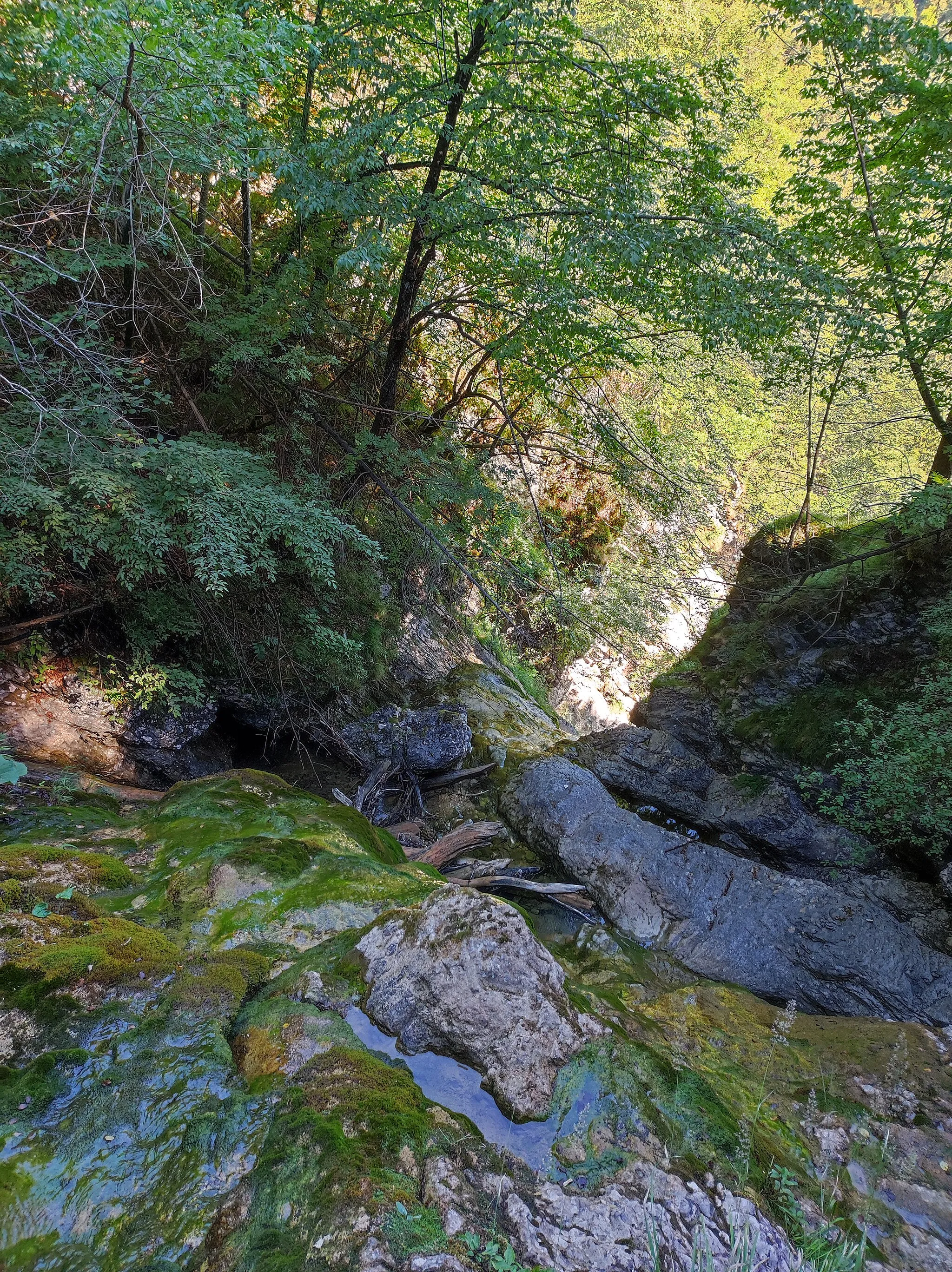 Photo showing: Pekel Gorge near Borovnica, view downwards from the top of the waterfall nr. 3.