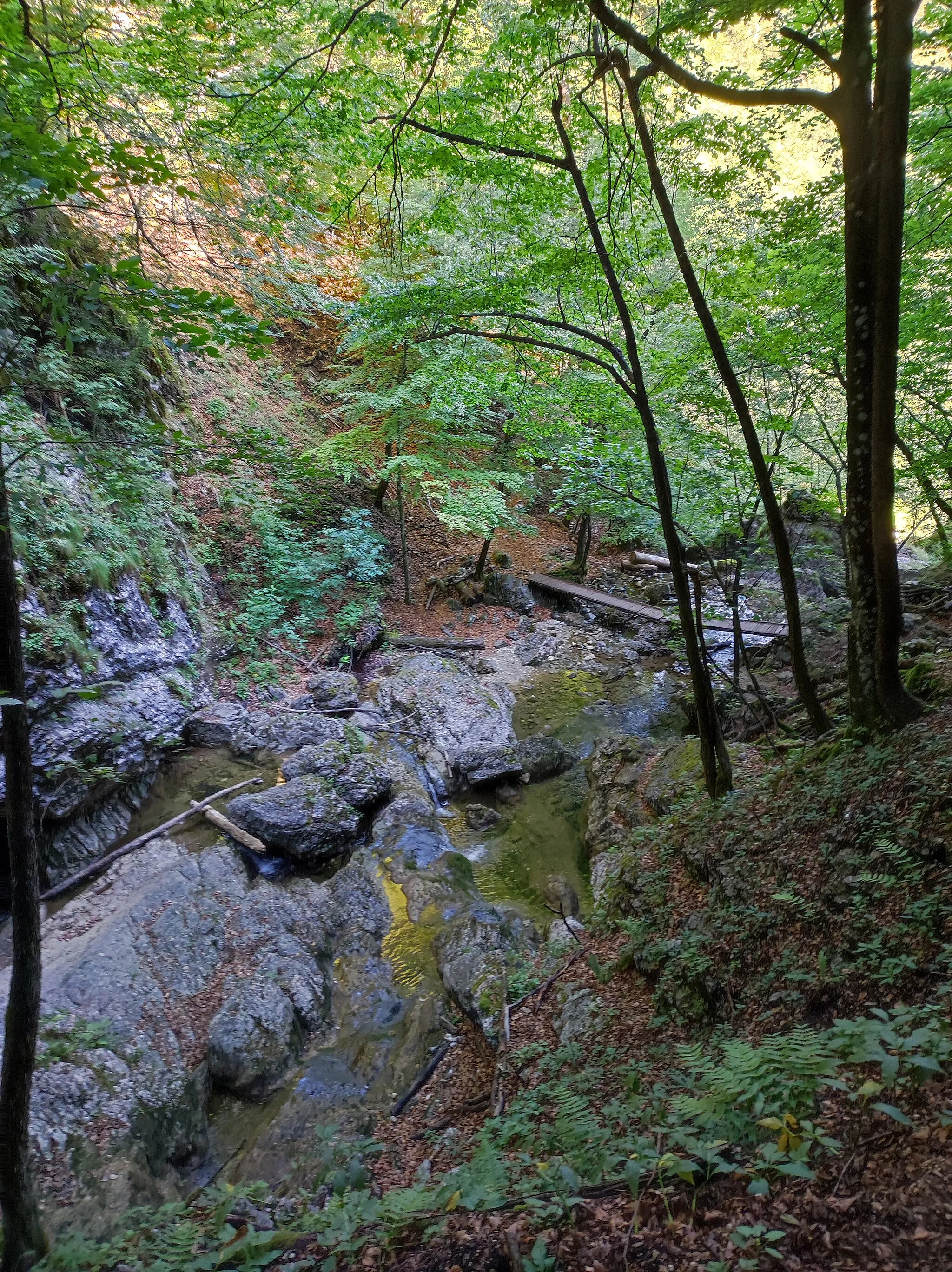 Photo showing: View of a narrow and unprotected footbridge along the trail between the Pekel Gorge's waterfalls nrs. 3 and 4.