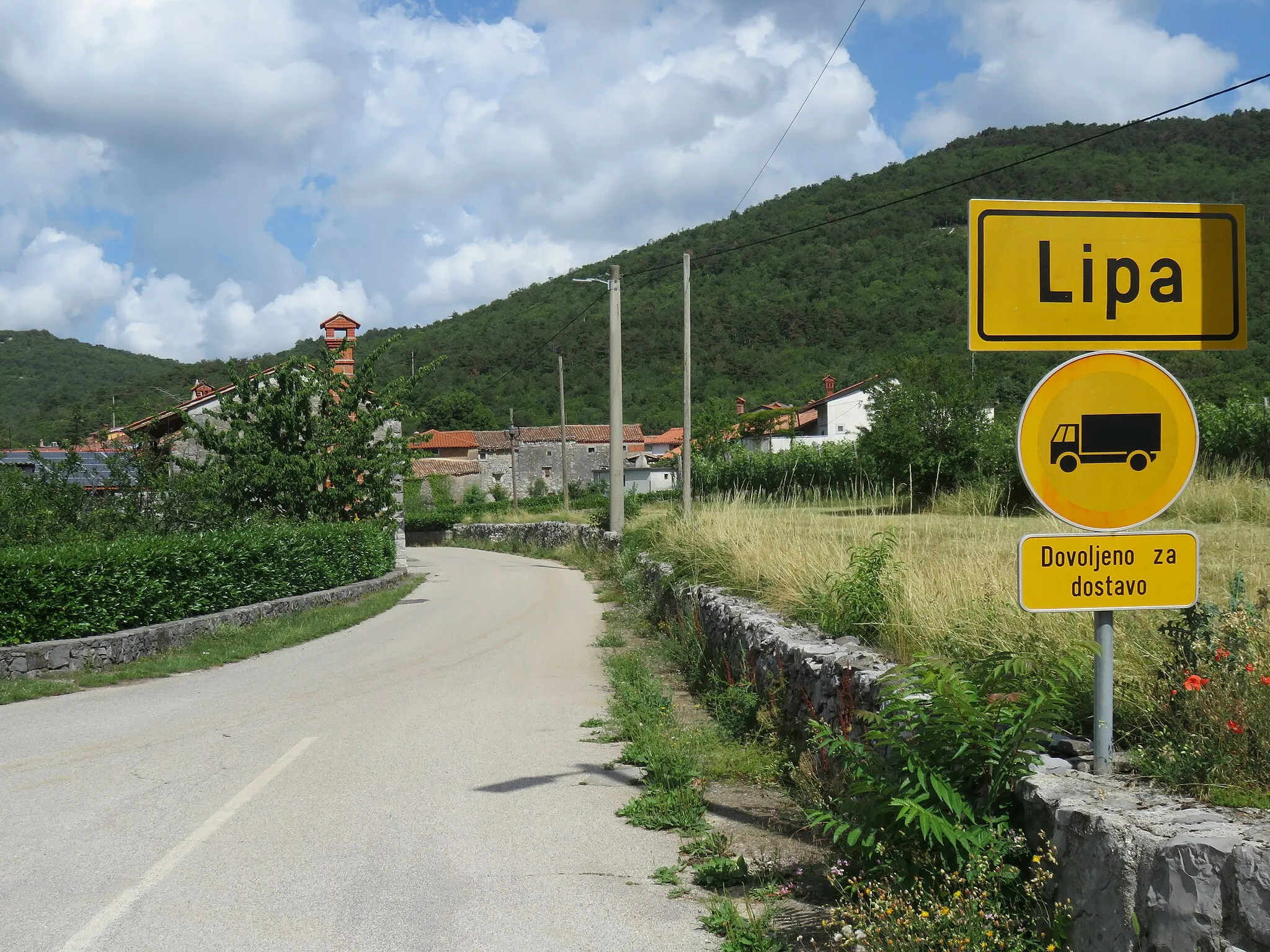 Photo showing: Lipa, Municipality of Miren–Kostanjevica, Slovenia