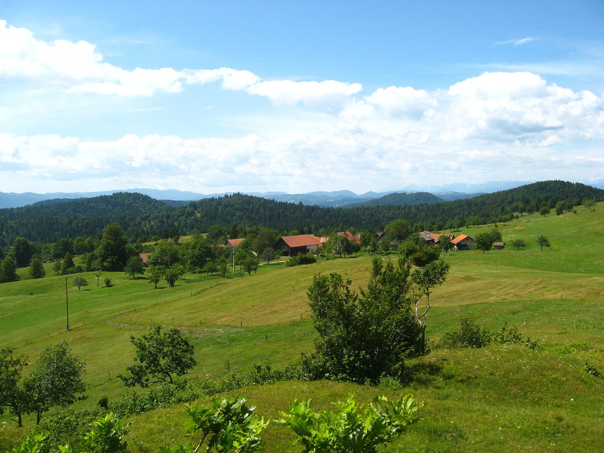 Photo showing: Zavrh pri Borovnici poleti