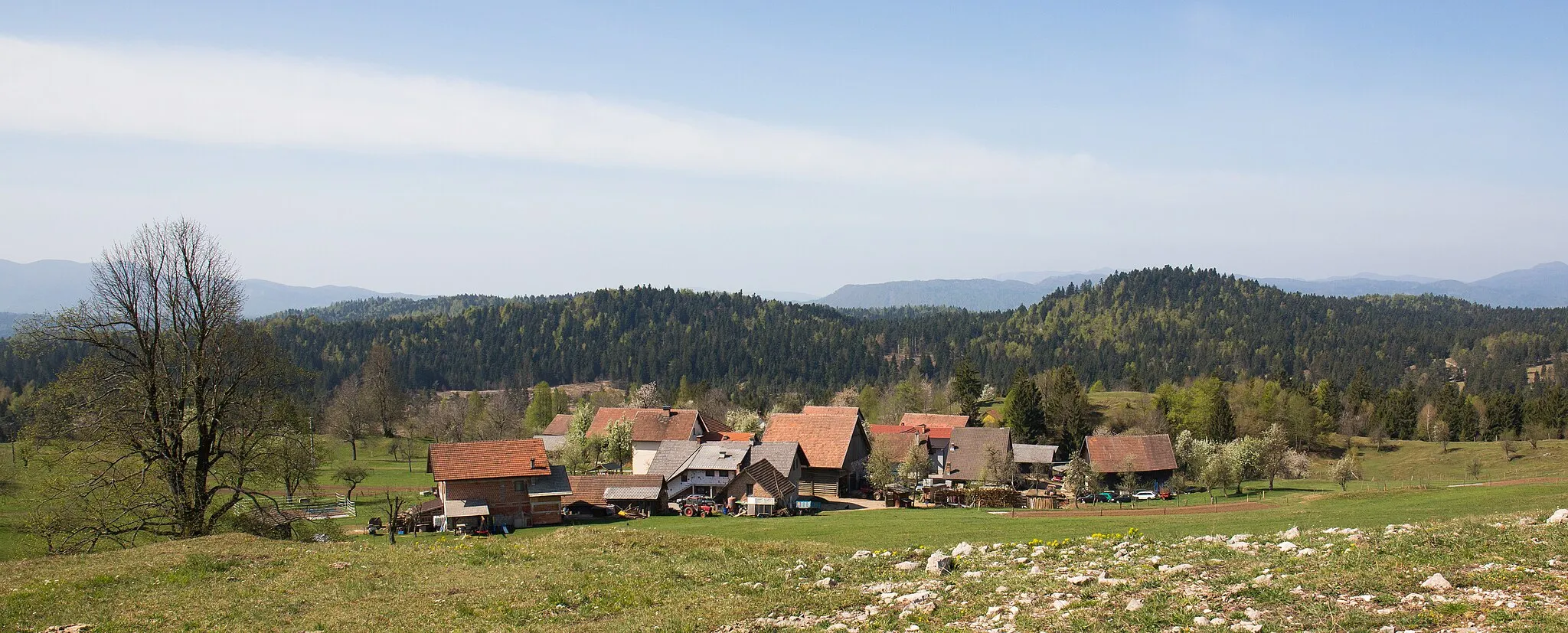 Photo showing: Zavrh pri Borovnici, a village in the Municipality of Vrhnika, Slovenia.
