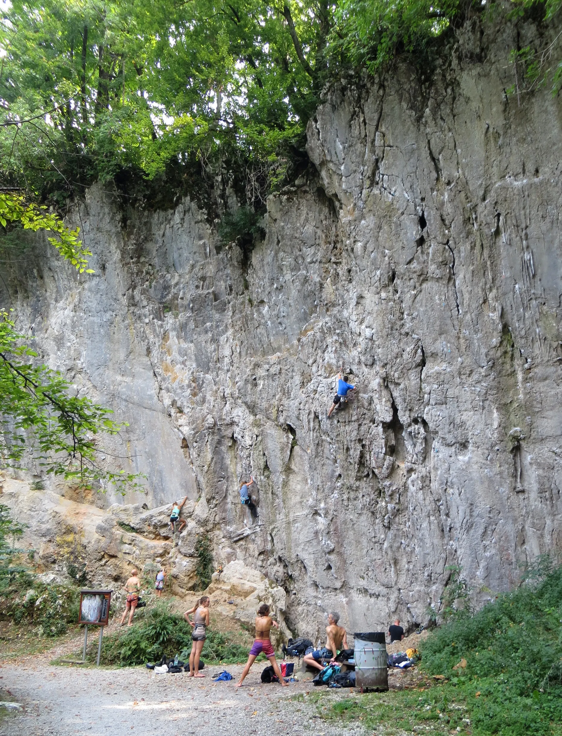 Photo showing: Rock wall above Cliff Spring (Pod skalo; part of Retovje Springs) in Verd, Municipality of Vrhnika, Slovenia
