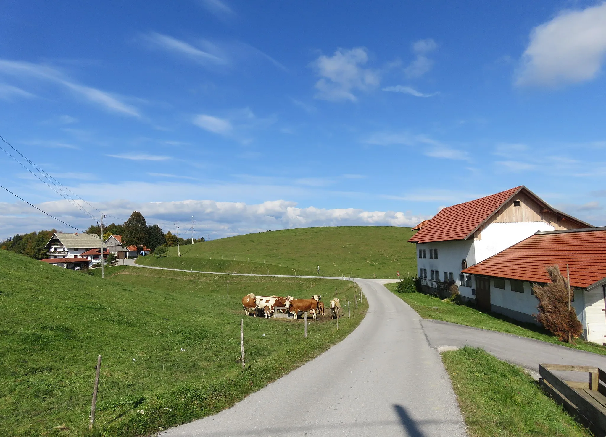 Photo showing: The Vodičar farm (background) in Mrzli Vrh, Municipality of Idrija, Slovenia