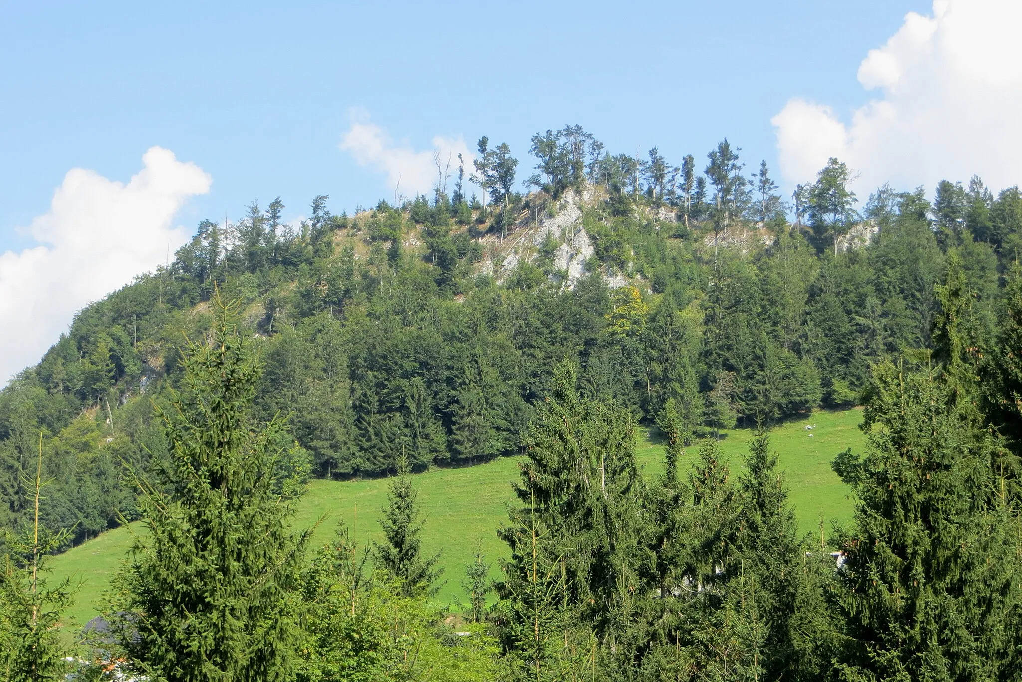 Photo showing: Sovina Peak (Sln. Sovinjski vrh) above Sovinja Peč, Municipality of Kamnik, Slovenia