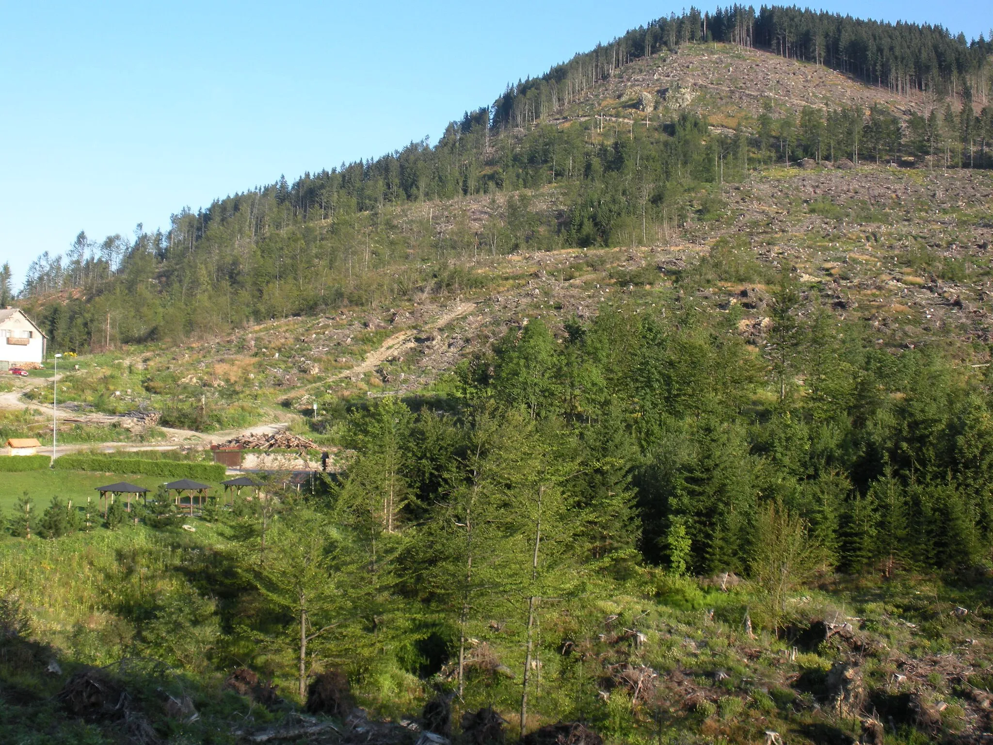 Photo showing: Forest above the Črnivec Pass, Kamnik Alps, Slovenia, a year after a severe storm which destroyed most of the trees on this side of the hill.