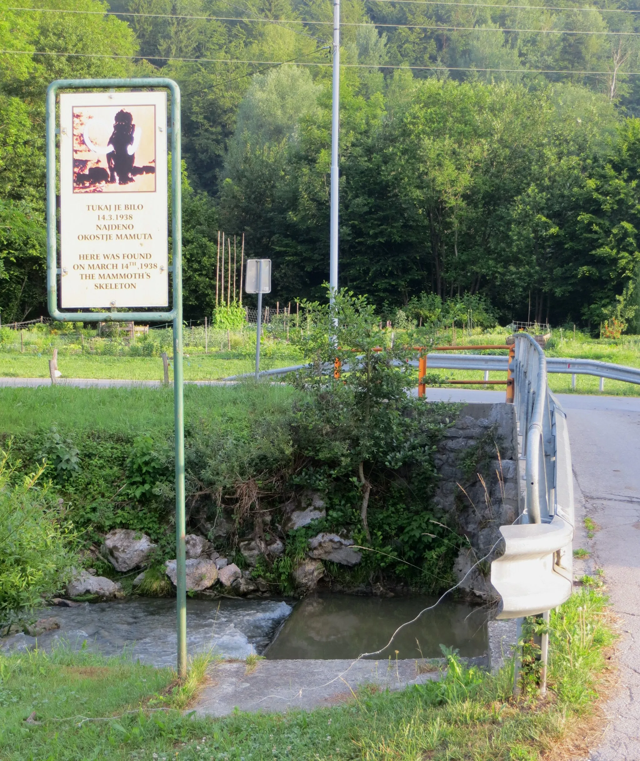 Photo showing: Site on the Nevljica River in Nevlje, Municipality of Kamnik, Slovenia where a woolly mammoth  skeleton was discovered in 1938