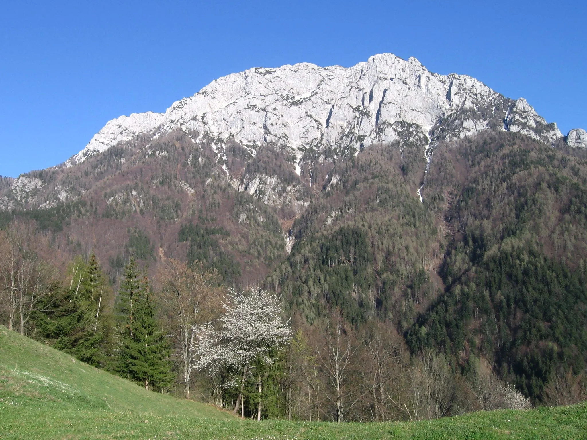 Photo showing: Mt. Raduha in Kamnik-Savinja Alps, western side - from Tolstovršnik farm