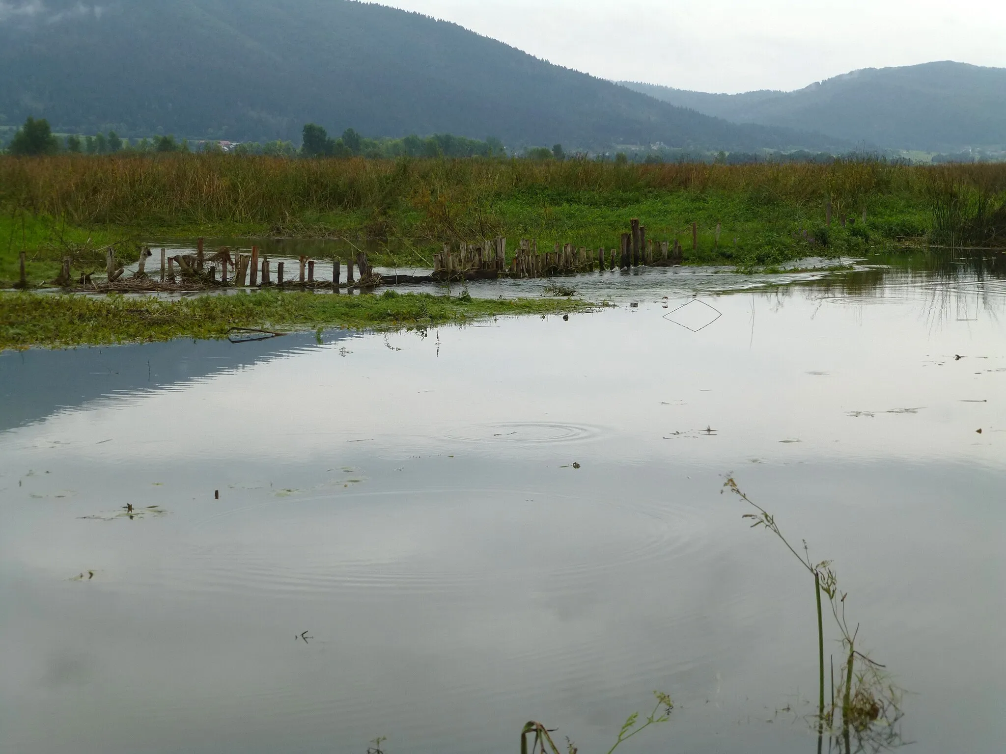 Photo showing: Cerknisko Jezero, lake end August  2018.