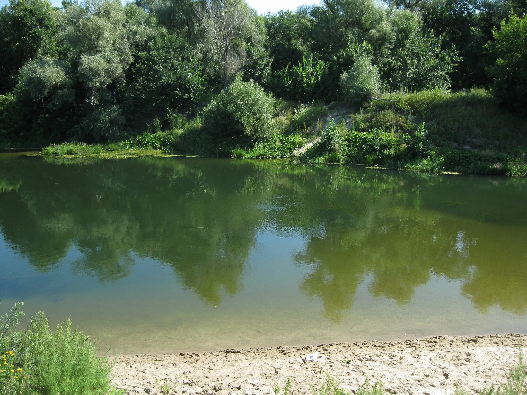 Photo showing: Медведица в Лопуховке