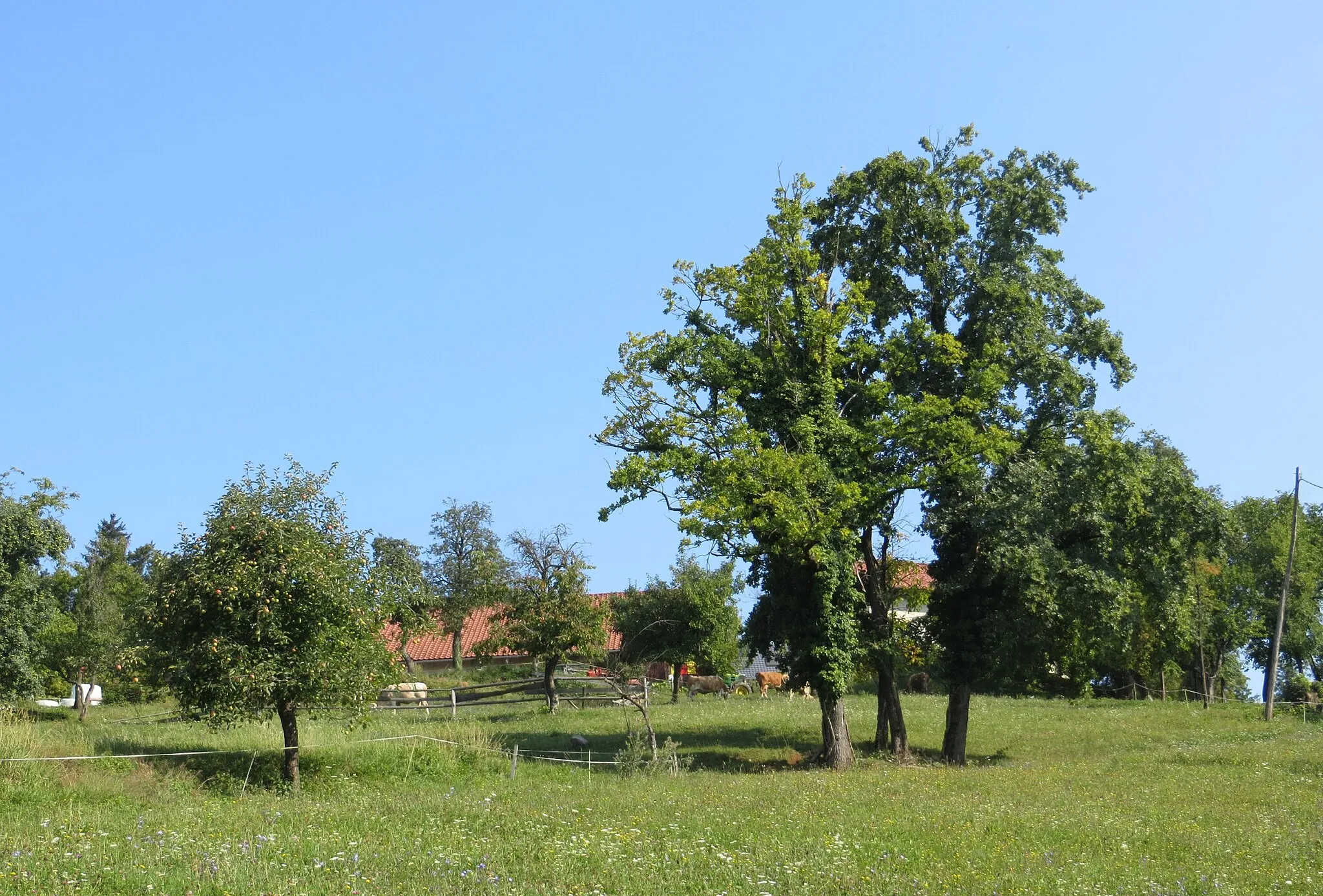 Photo showing: Jasen, Municipality of Domžale, Slovenia