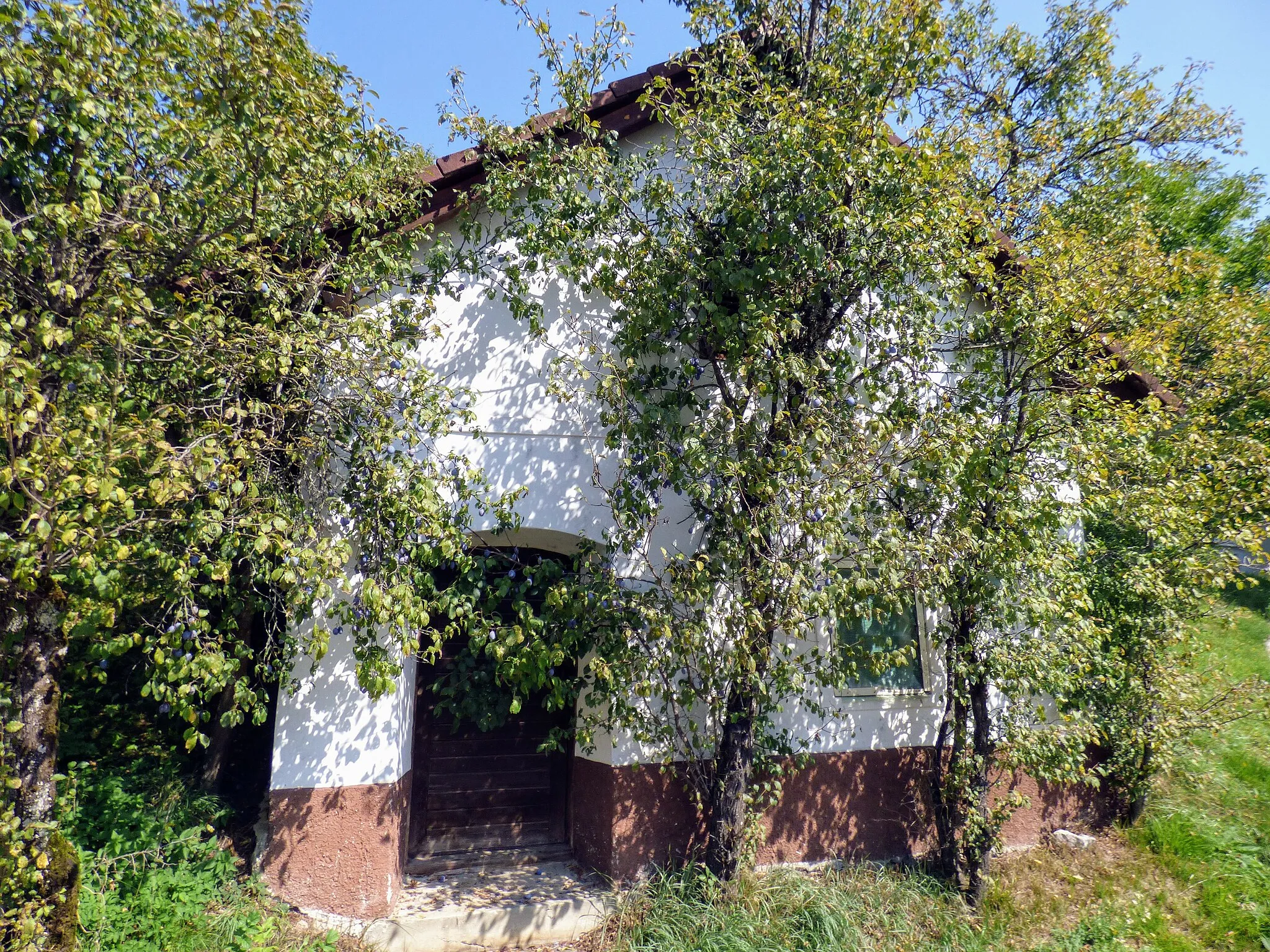 Photo showing: Weinberg Sittersdorf, Kärnten: zwischen Haus Nr. 108 und Haus Nr. 72