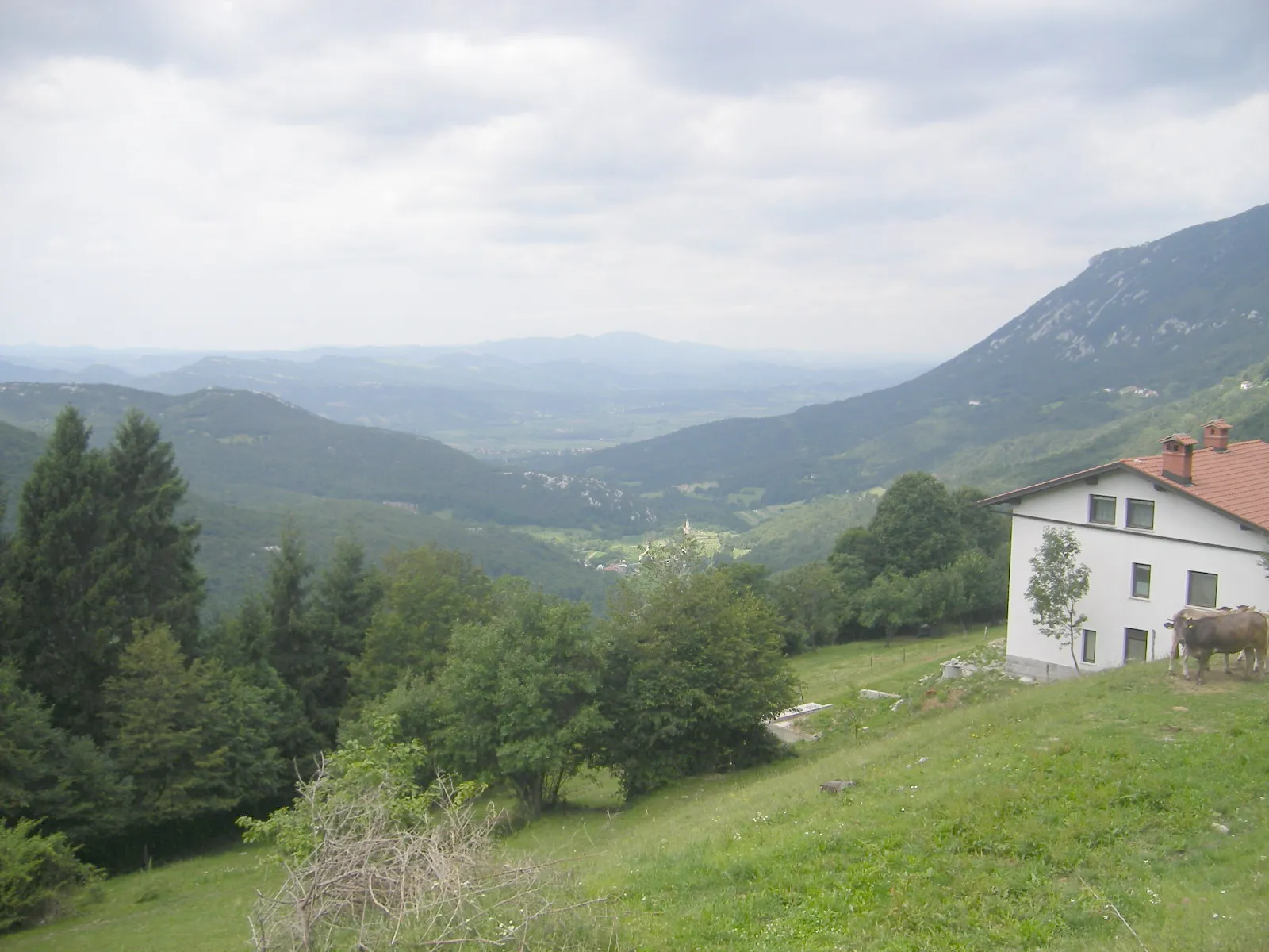 Photo showing: View toward the Vipavska Dolina between Podkraj and Col (Ajdovščina municipality)