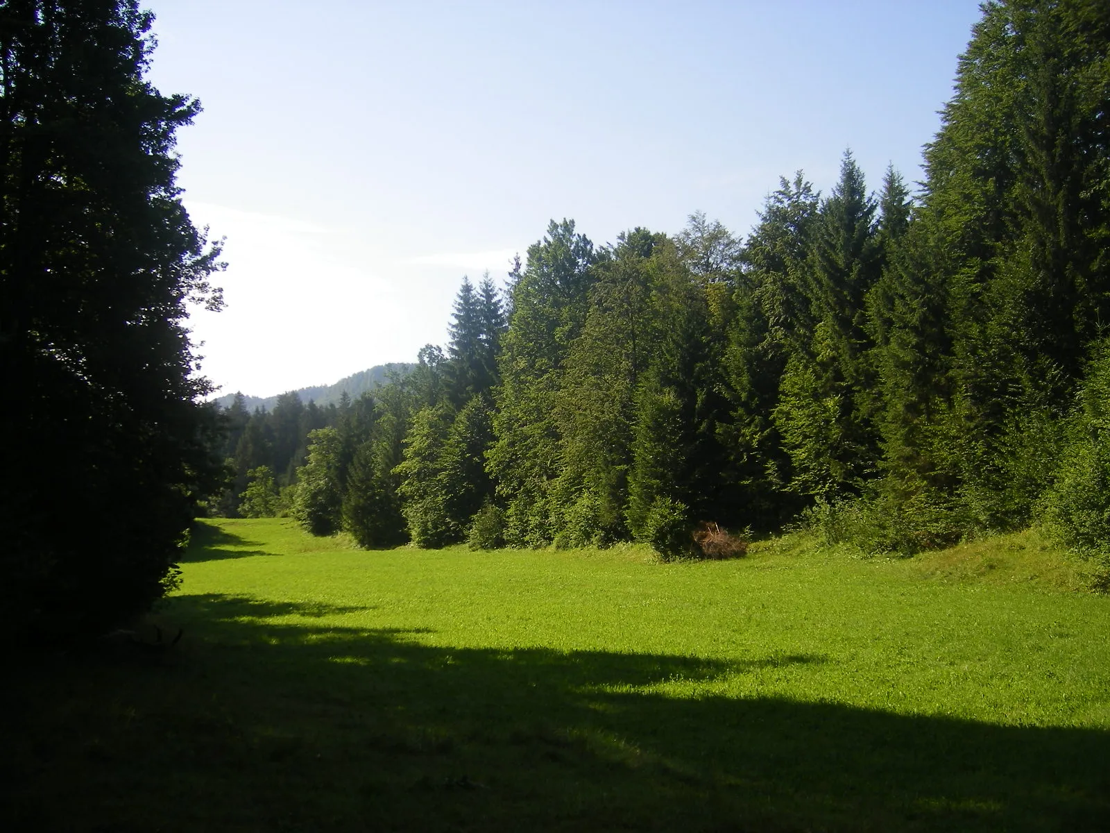 Photo showing: Andrejev Grić polje at Kalce (Logatec municipality)