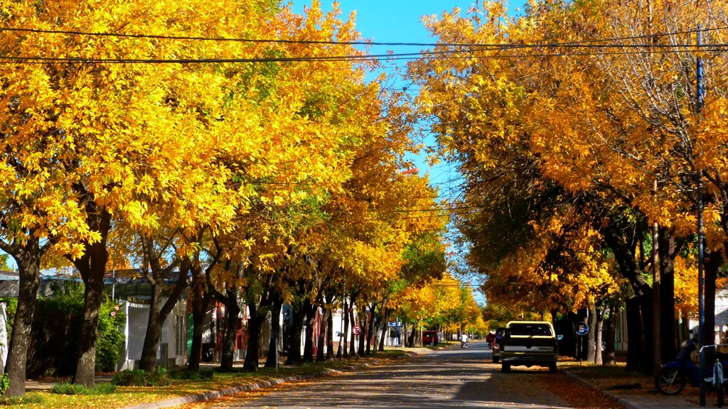 Photo showing: Calle de la ciudad de Malabrigo en otoño.