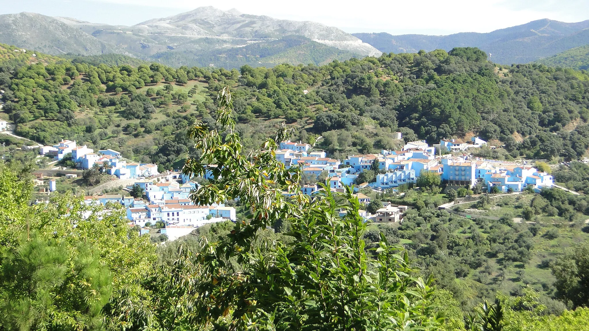 Photo showing: Júzcar (Málaga). Valle del Genal.