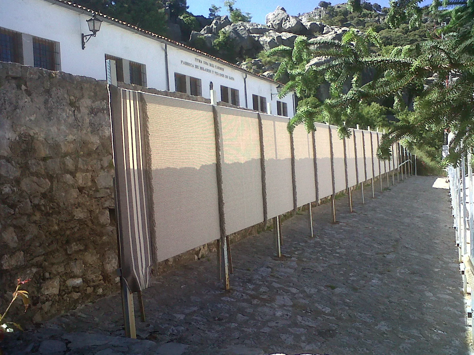 Photo showing: pinsapos y paños de lana, imgane típica de Grazalema