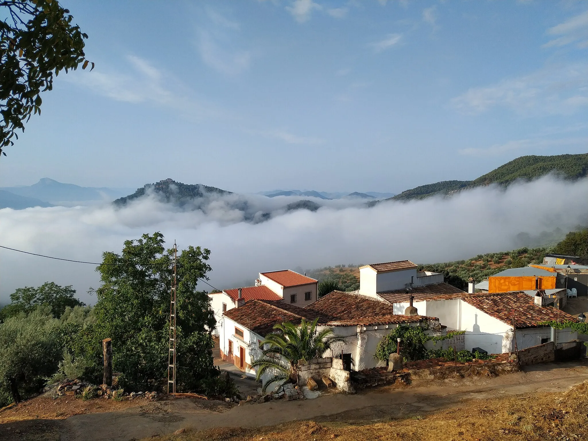 Photo showing: Vista del cortijo de Abajo de Fuente Carrasca (Torres de Albanchez)