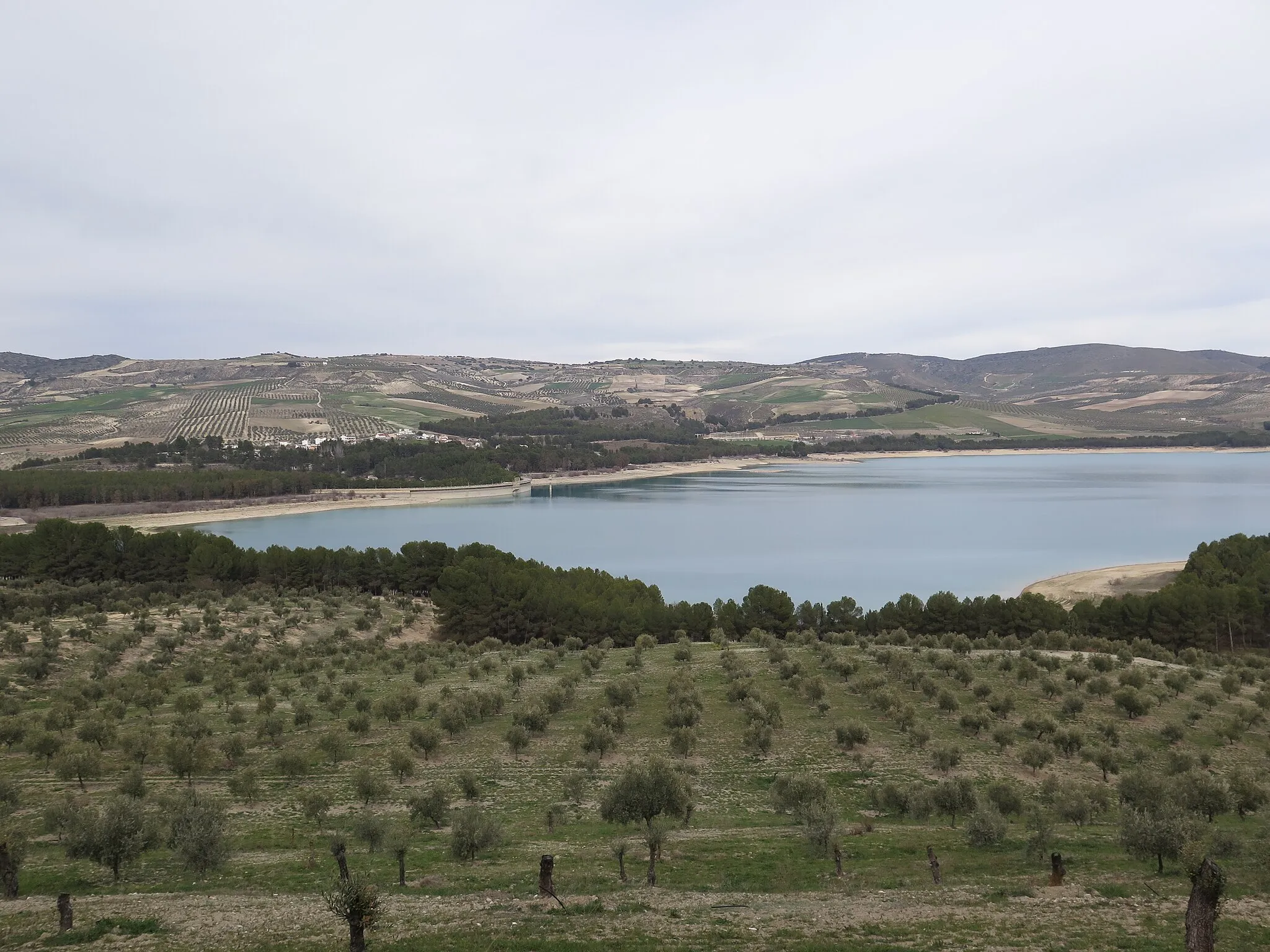 Photo showing: Vista general del pantano de Los Bermejales.