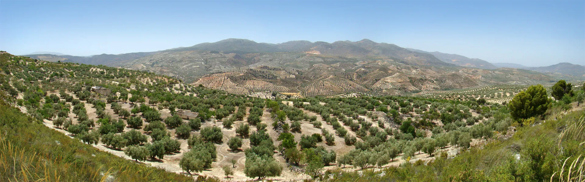 Photo showing: Vista panorámica desde la A4155, entre Alhama de Granada y Salar, Andalucía, España.