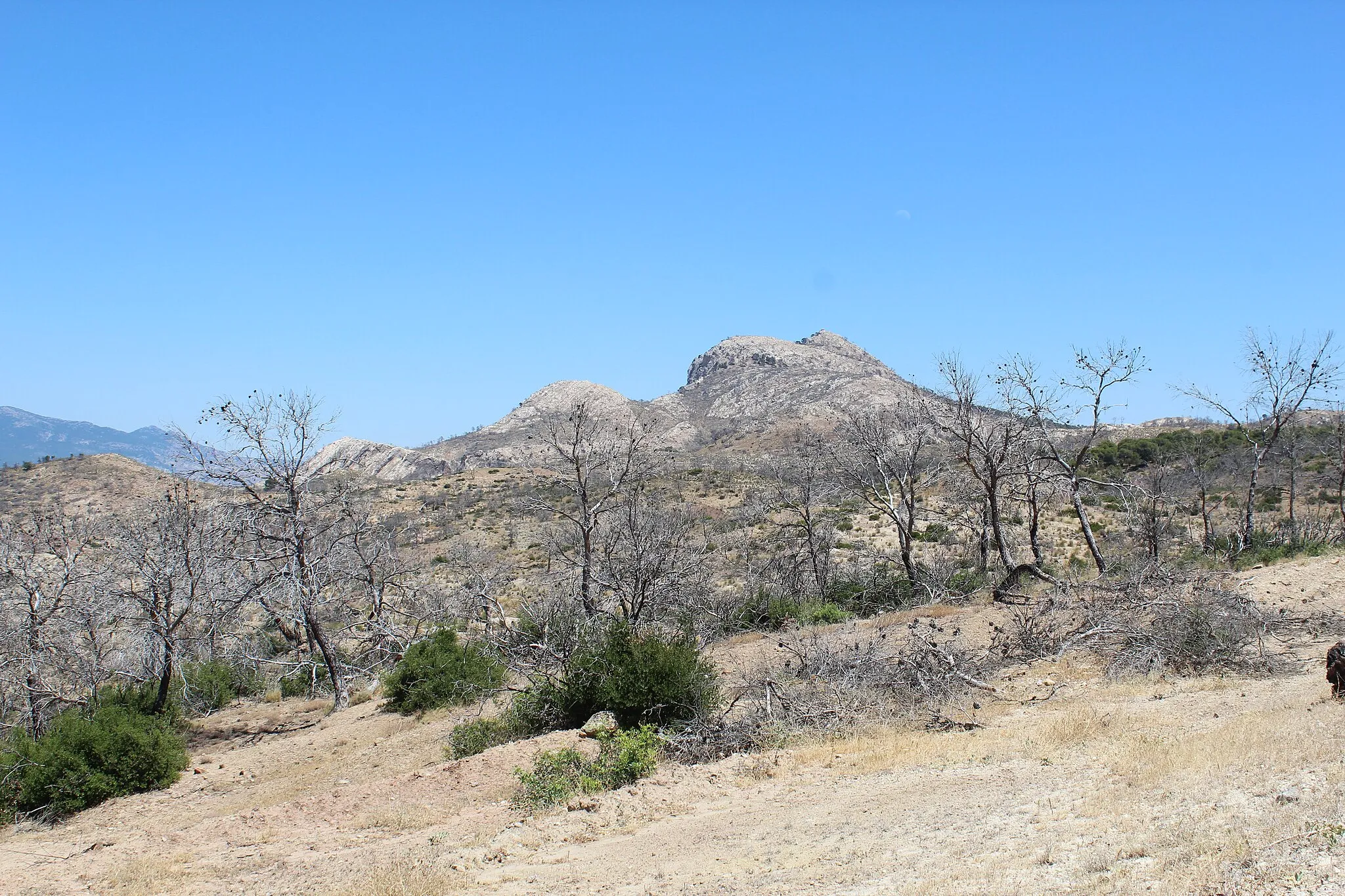 Photo showing: Paisaje quemado, con el Cerro Cambrón al fondo, Quesada, provincia de Jaén.