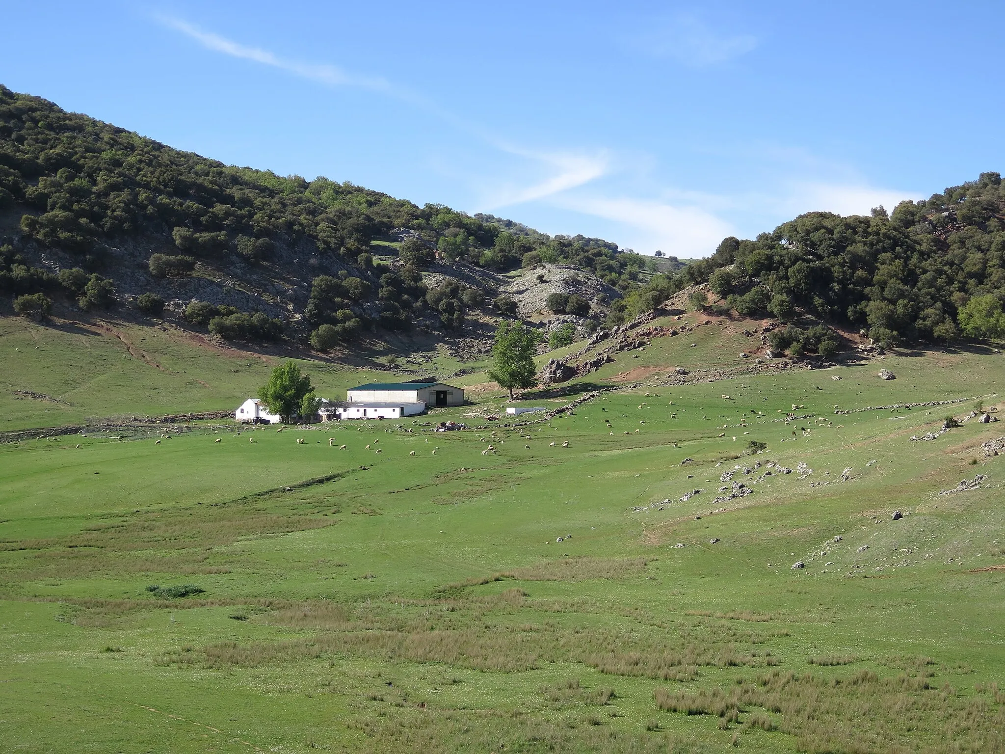 Photo showing: Vista del cortijo de la Zarzuela, término municipal de Valdepeñas de Jaén, comarca de la Sierra Sur.