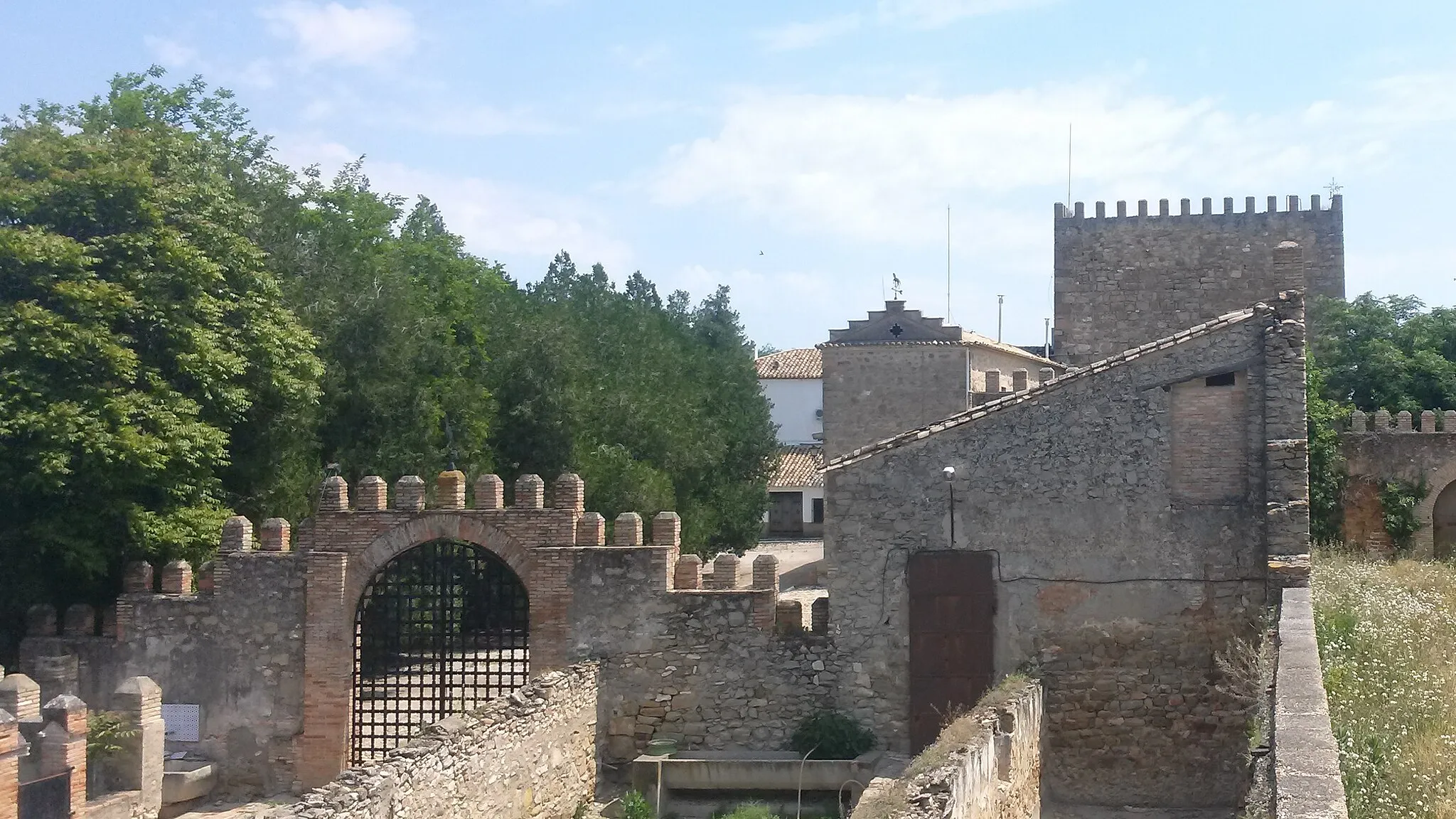 Photo showing: Vista general del castillo de Espeluy.