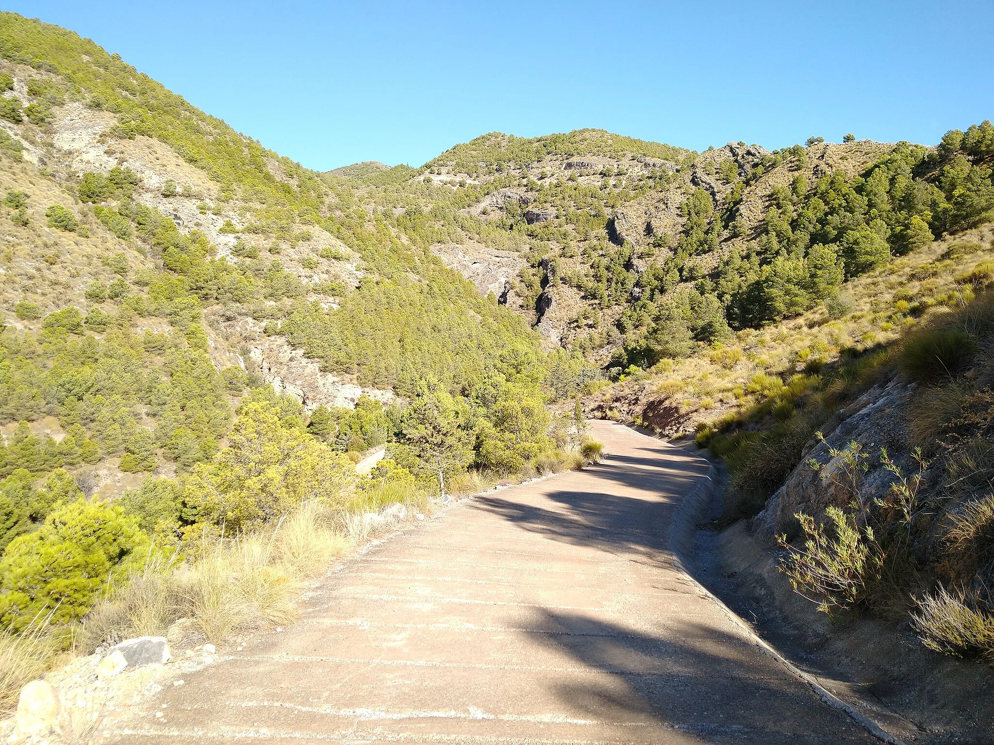 Photo showing: Visita al peñón de Bernal, Vícar, Almería, en 20201107.