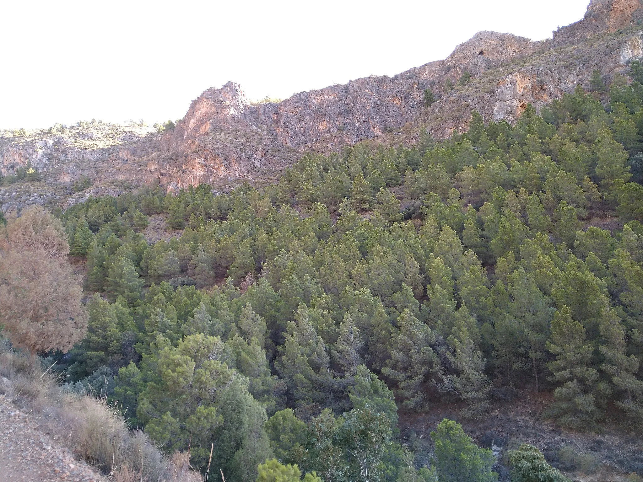 Photo showing: Visita al peñón de Bernal, Vícar, Almería, en 20201107.