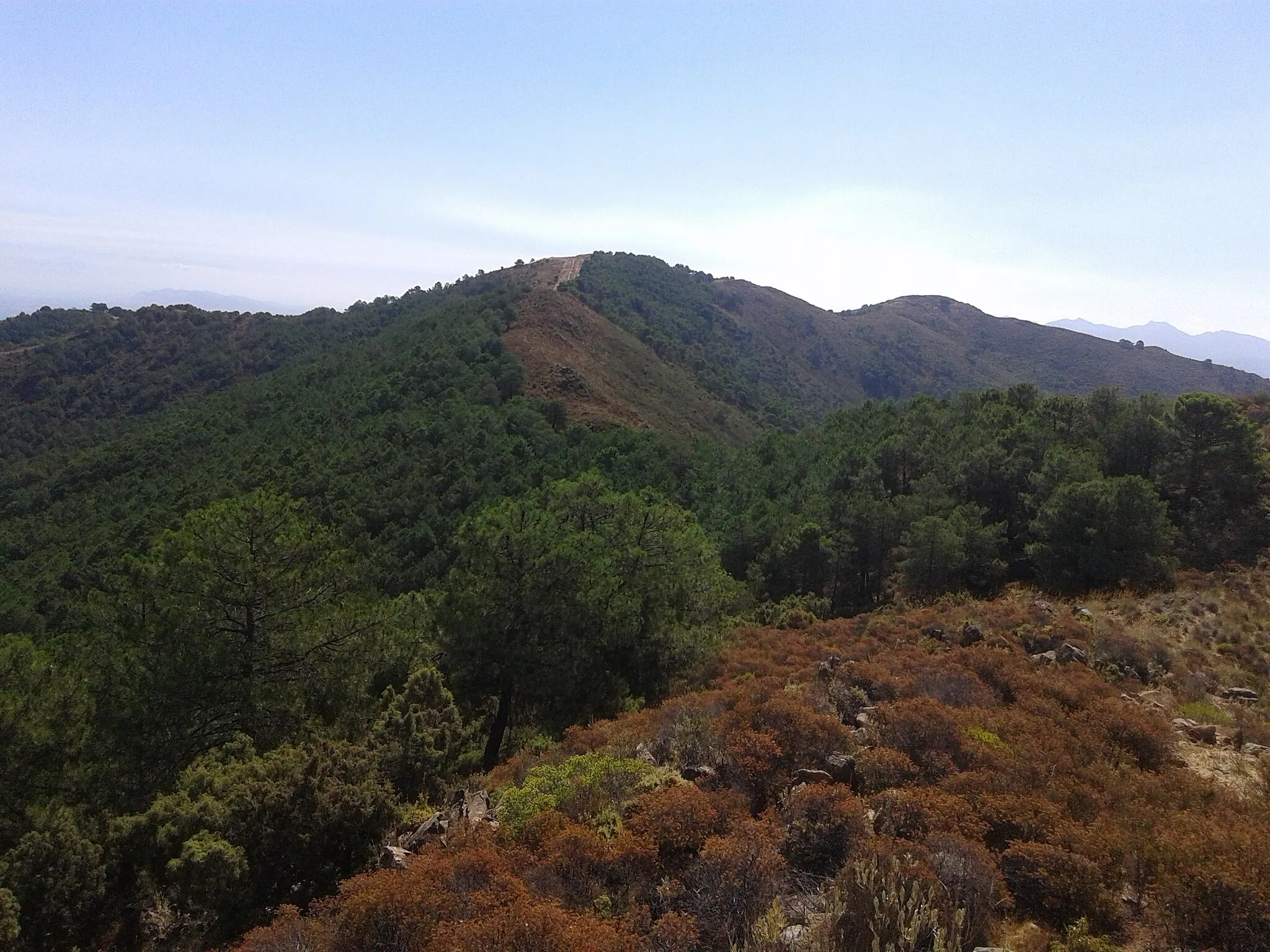 Photo showing: Cima del Pico Aranda  desde el final del cortafuegos junto a la torre contraincendios