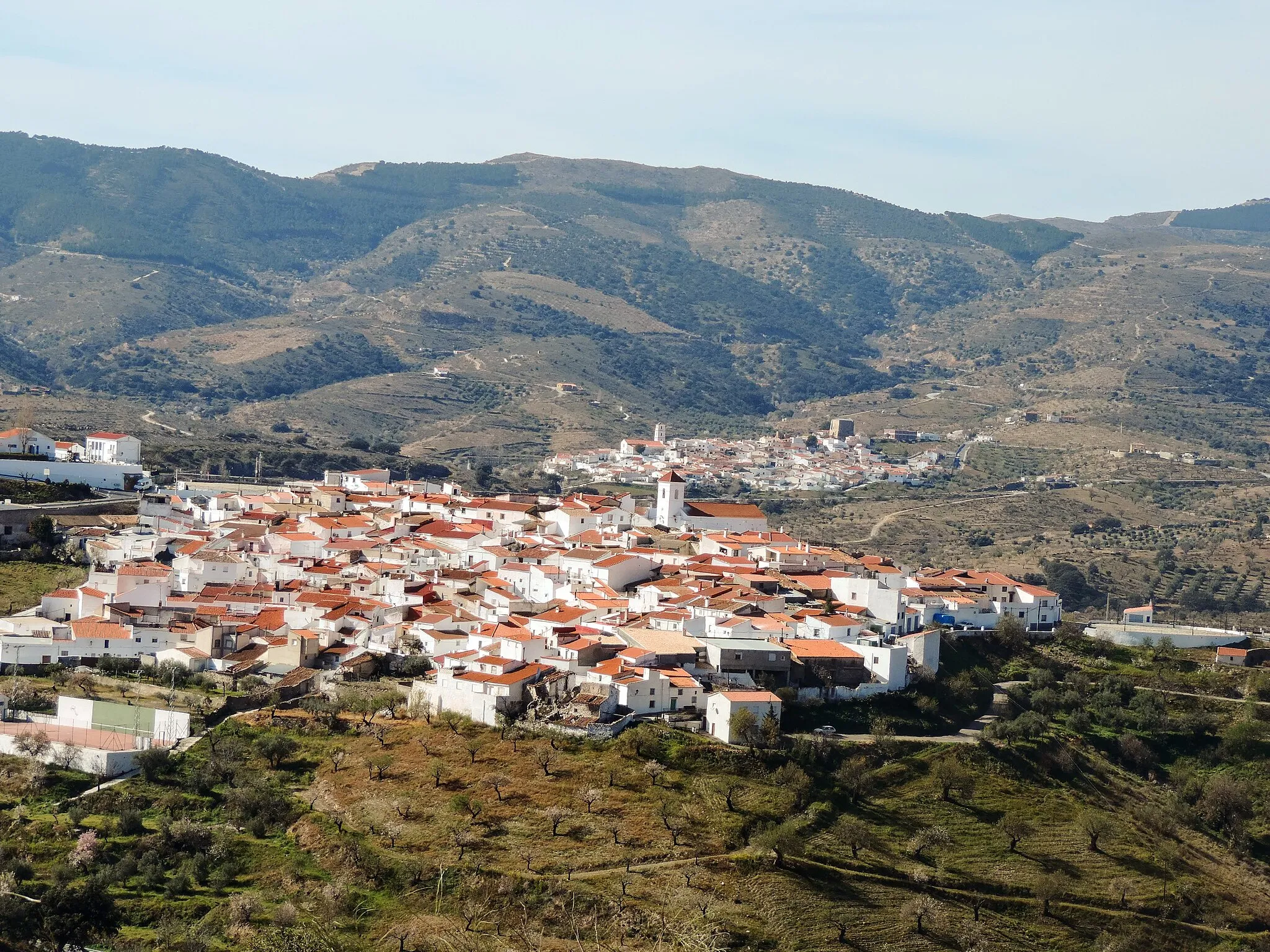 Photo showing: Paisaje de Tahal, Alcudia y Chercos. Febrero de 2019.