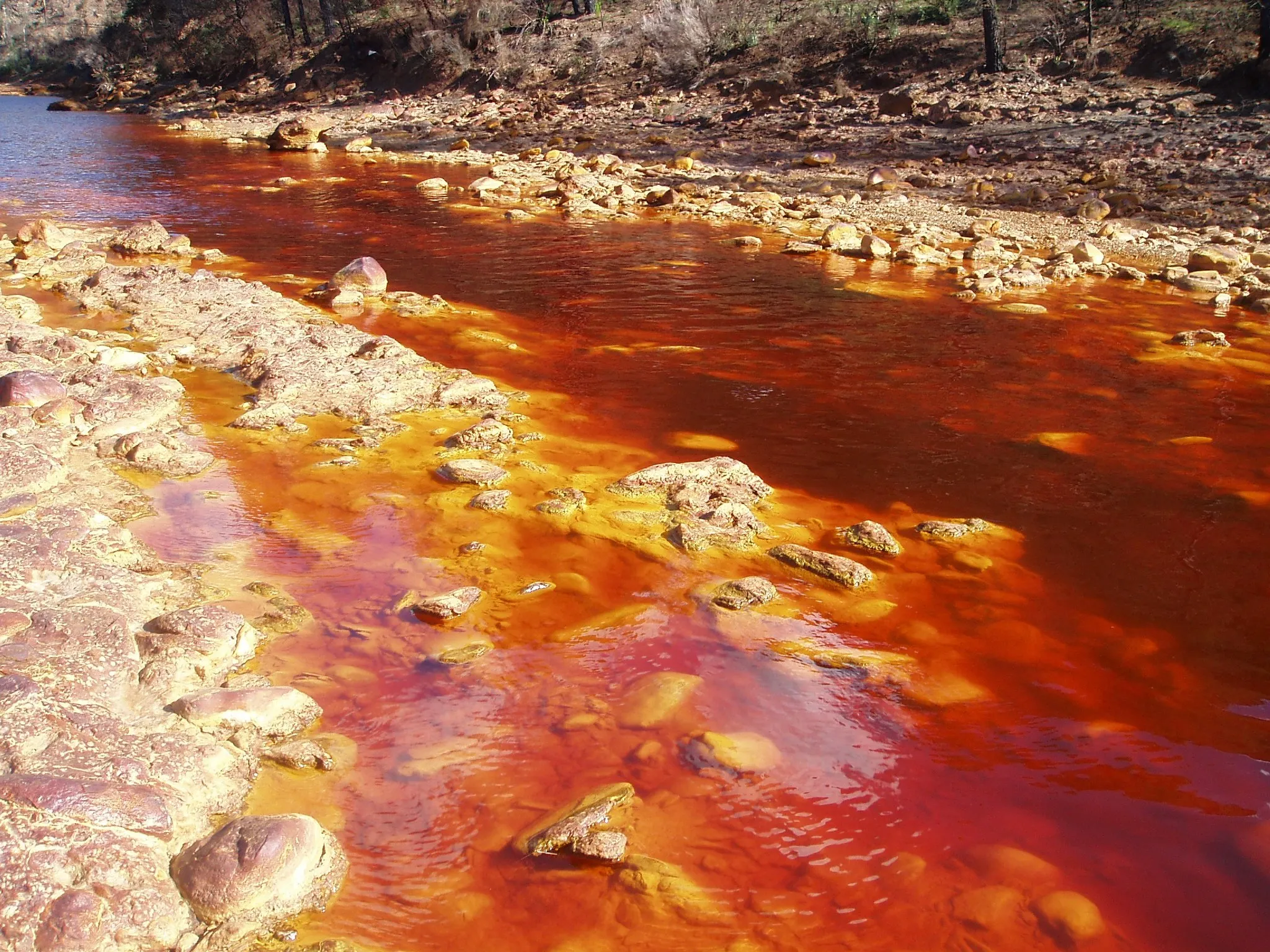 Photo showing: waters of the Rio Tinto, Spain.