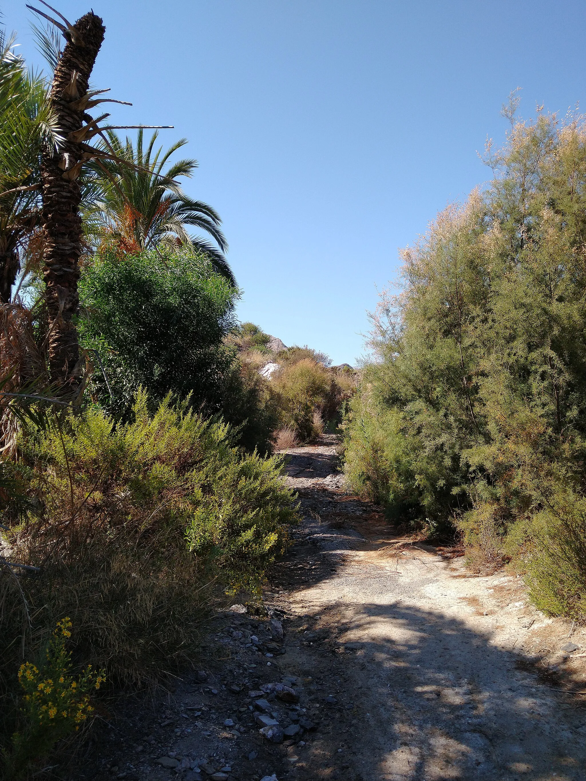 Photo showing: Vista de un paseo por los alrededores del Pilar de Jaravía, localidad en el municipio de Pulpí.