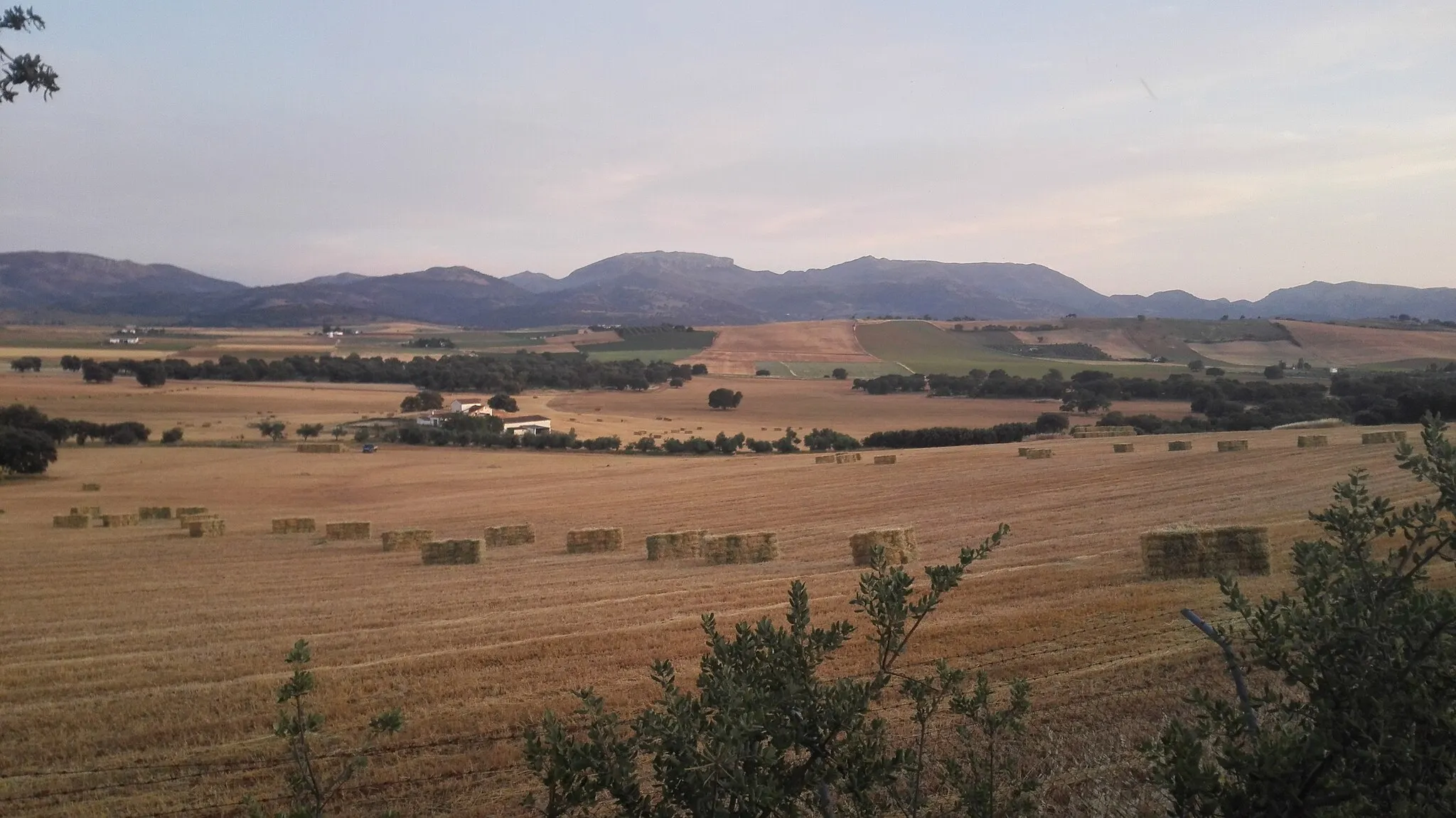 Photo showing: Serranía de Ronda (Málaga).