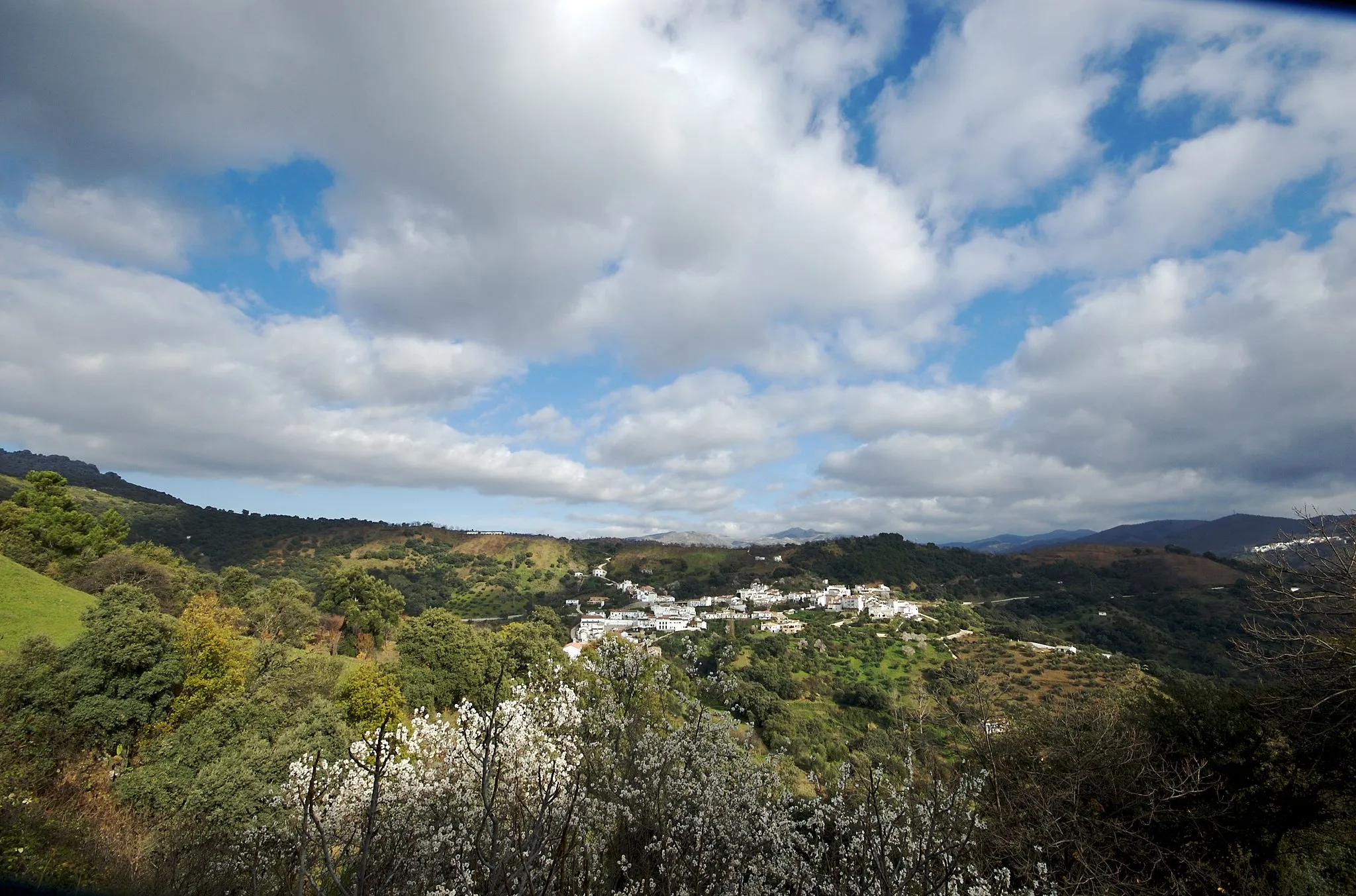 Photo showing: View of Júzcar, Málaga, Spain.