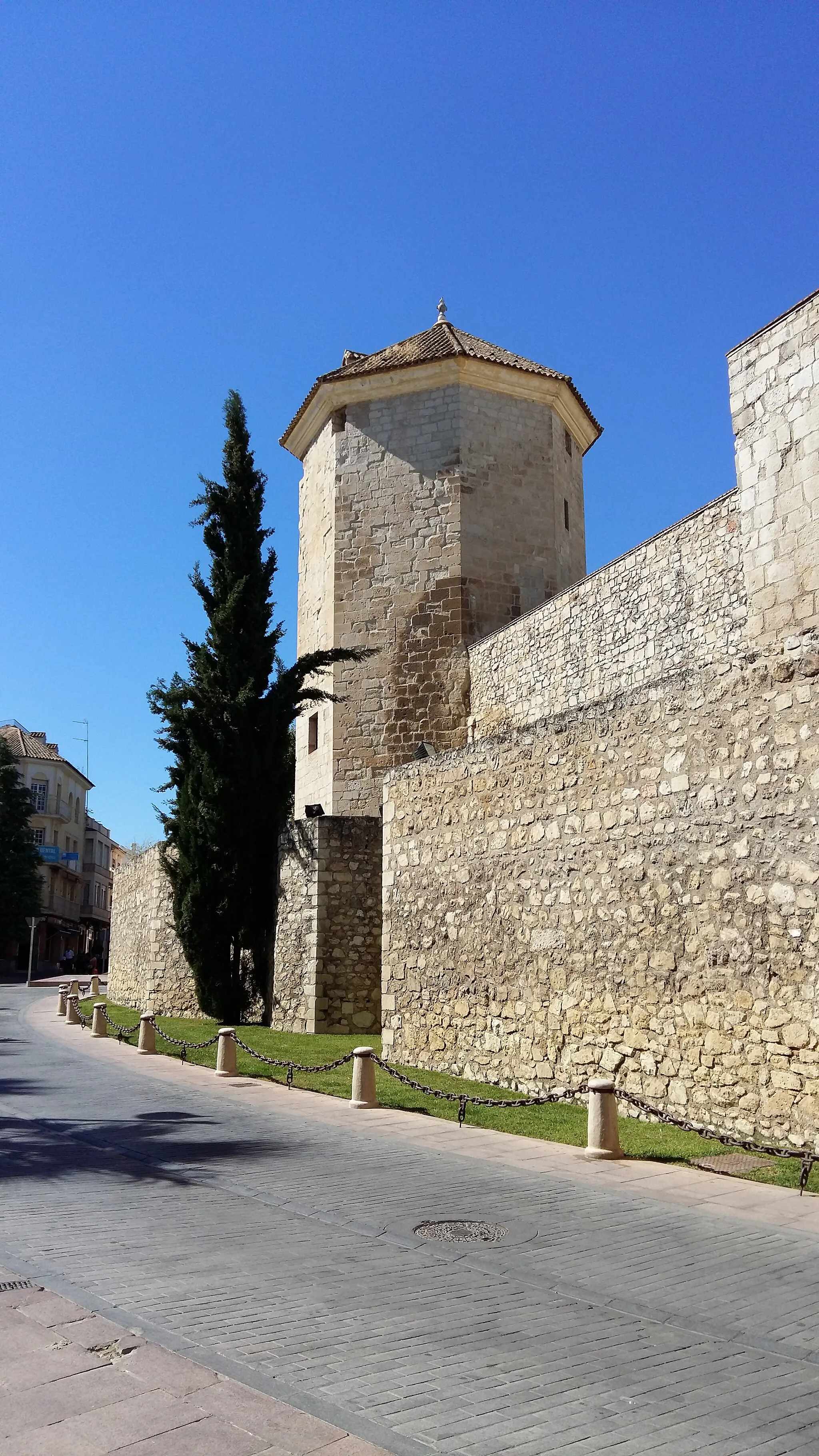 Photo showing: Castillo del Moral