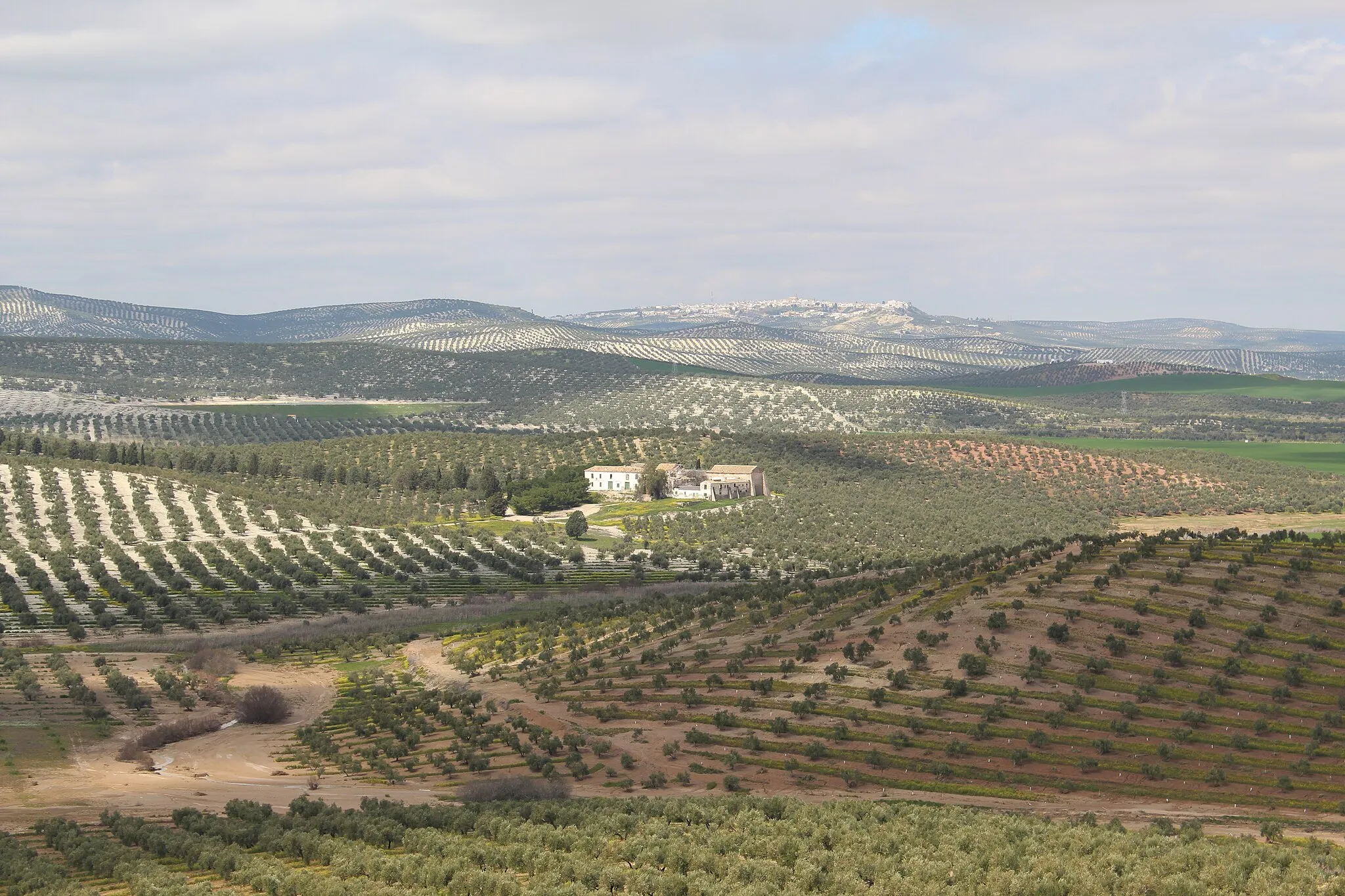 Photo showing: Vista lejana del cortijo de Mingo López, también conocido como cortijo de San Damián, y de la localidad de Arjona al fondo.