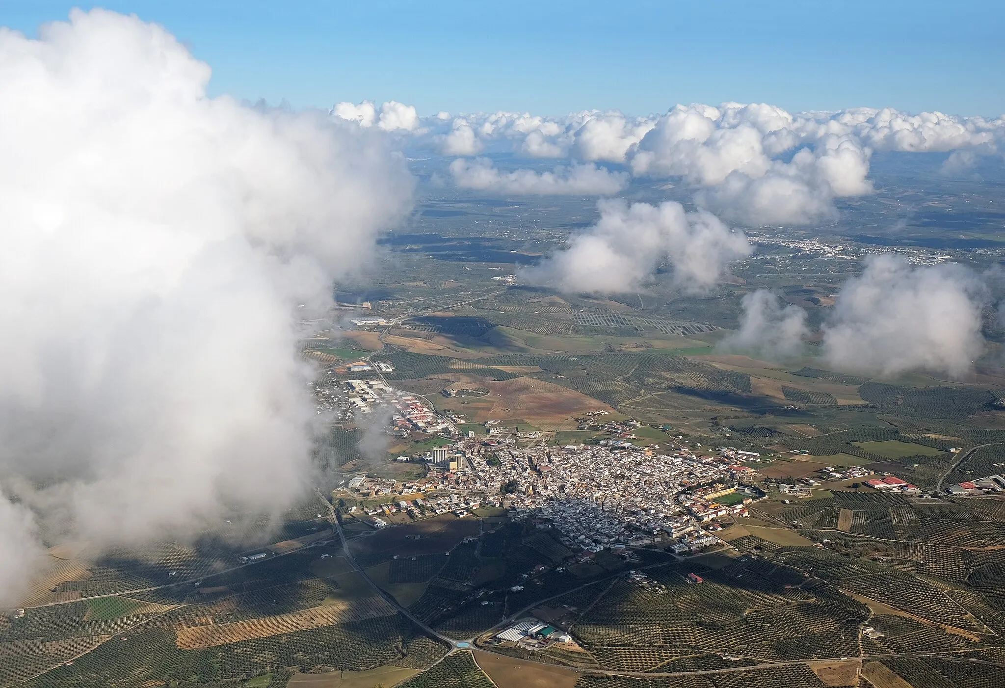 Photo showing: Aerial photo of La Rambla (not Montemayor), Córdoba, Andalucía, Spain.