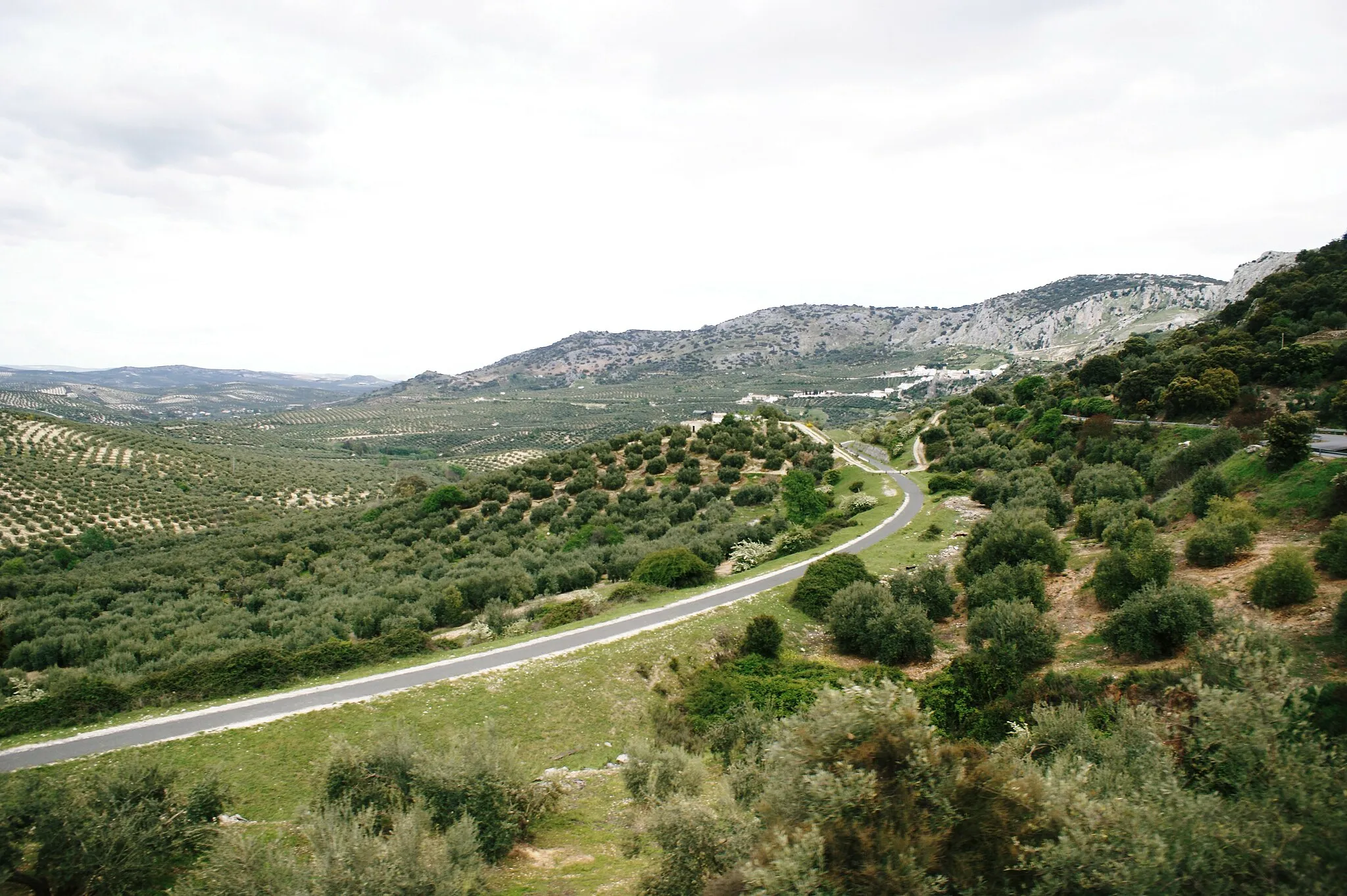 Photo showing: Former railway line (now a cycle way) at Monturque, Andalucia, April 2010.