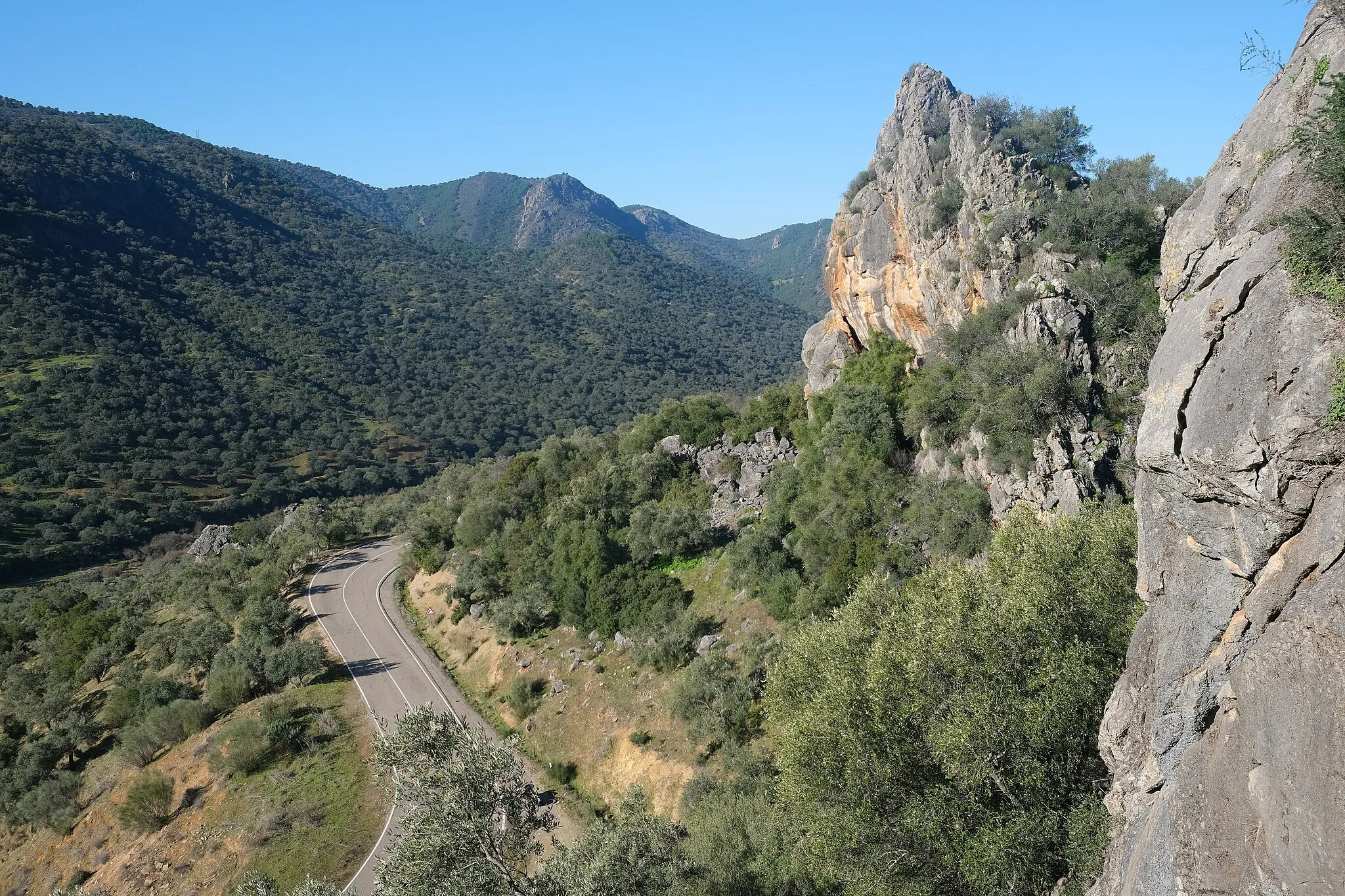 Photo showing: Road CO-3406 towards Obejo, Andalusia, Spain.