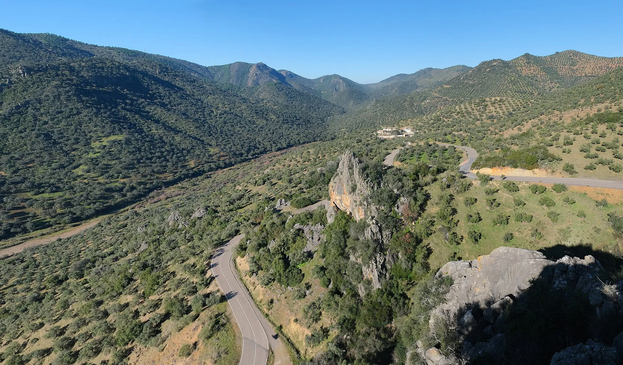 Photo showing: Road CO-3406 towards Obejo, Andalusia, Spain.