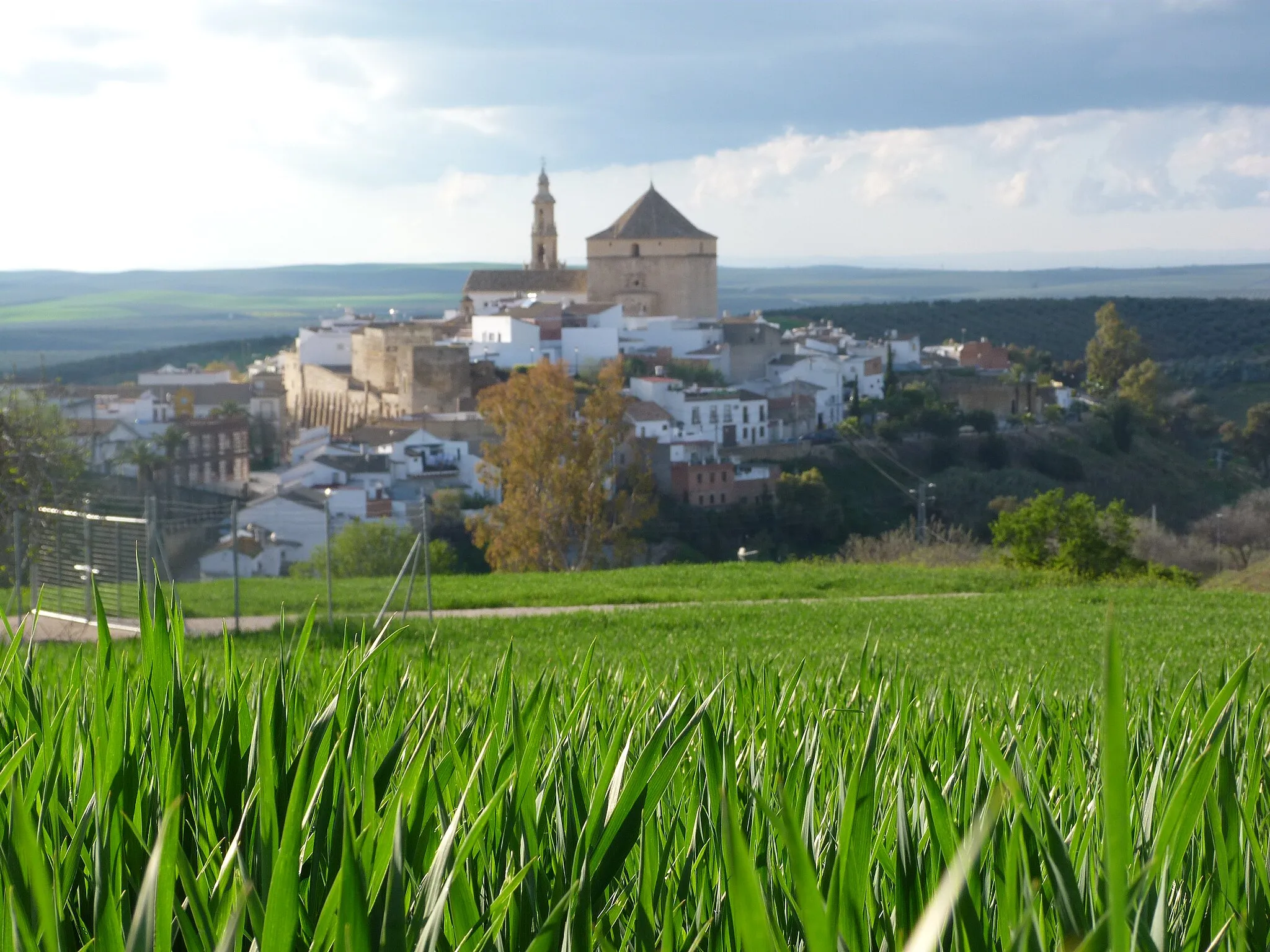 Photo showing: Panorámica de Santaella desde la periferia.