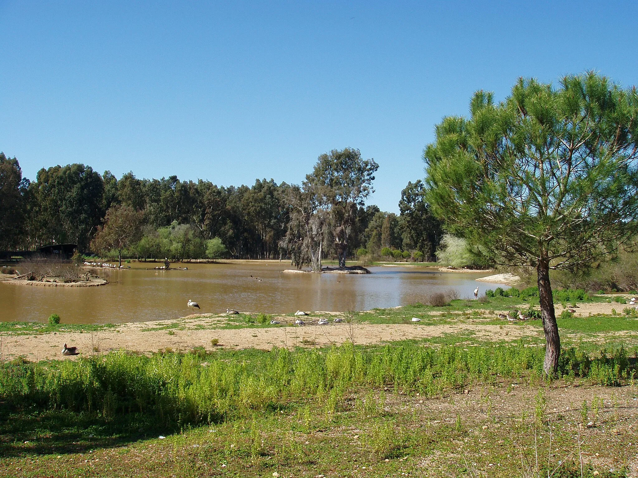 Photo showing: Cañada de los pájaros, en La Puebla del Río, provincia de Sevilla.