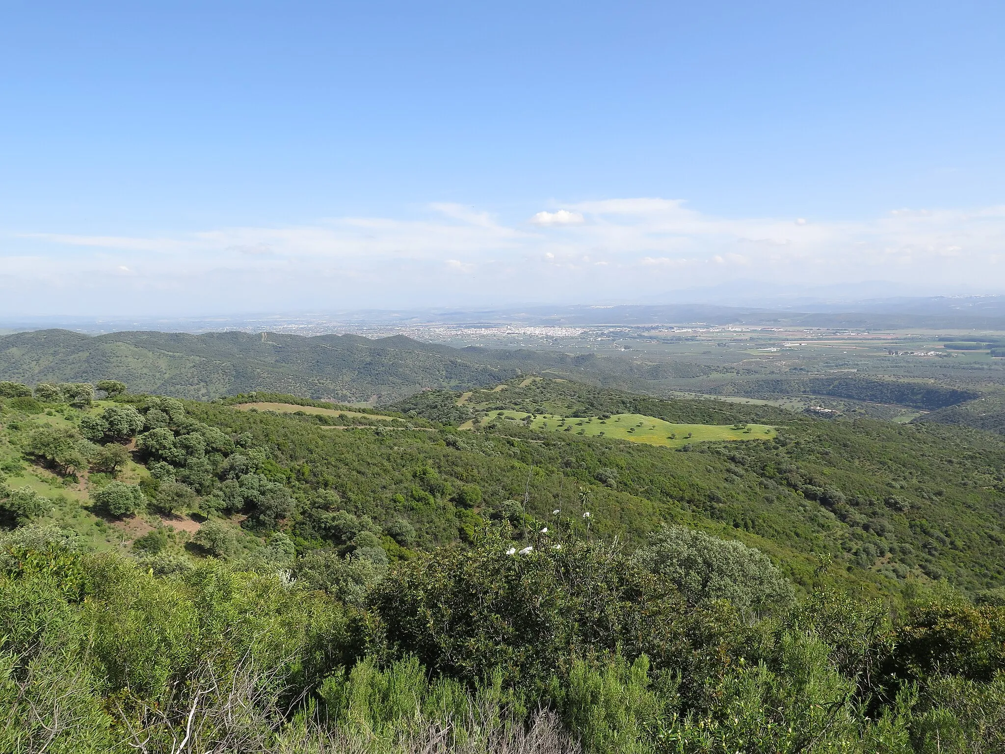 Photo showing: Andújar desde su parque natural.