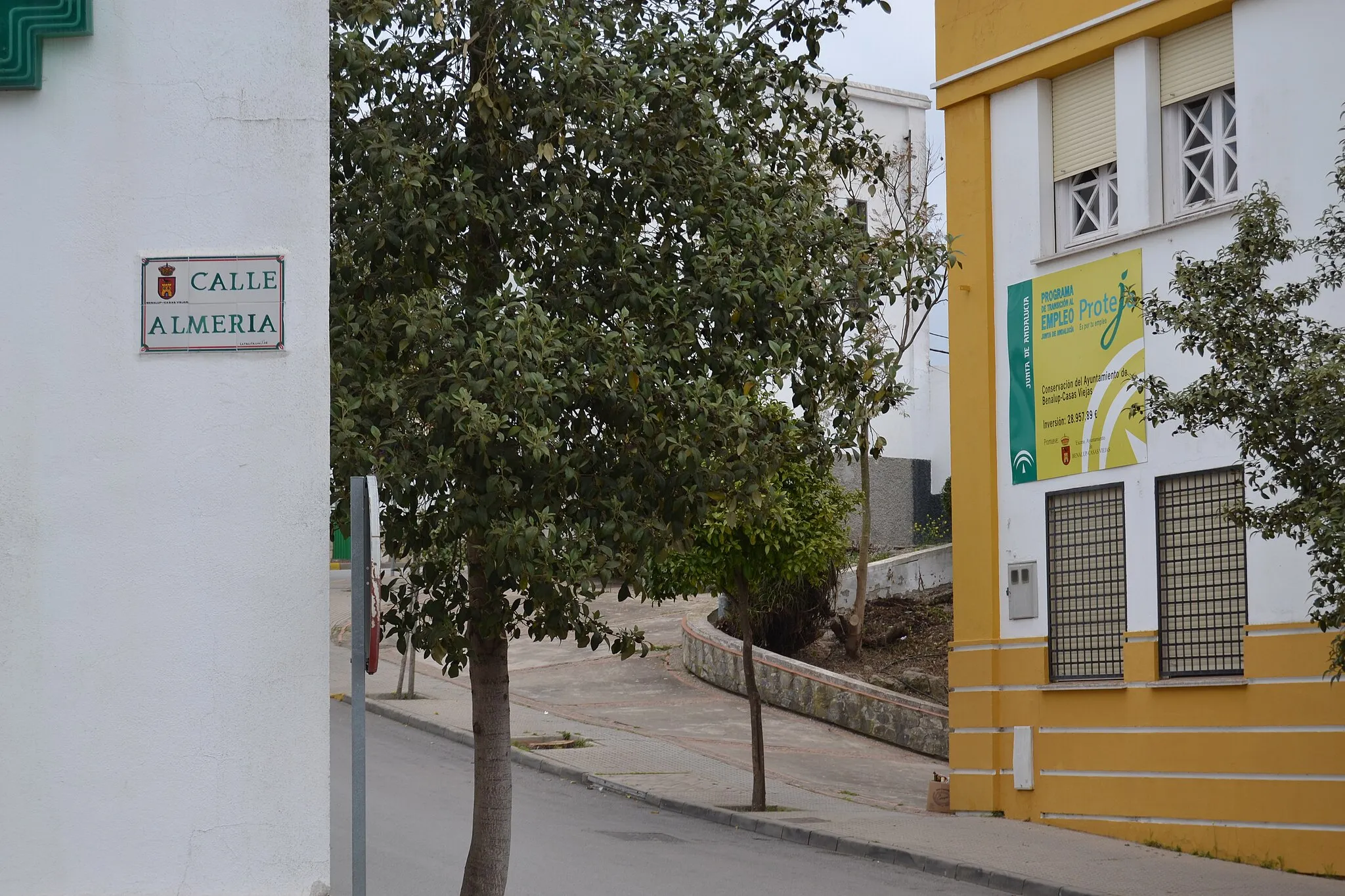 Photo showing: Benalup-Casas Viejas, provincia de Cádiz, Andalucía, España