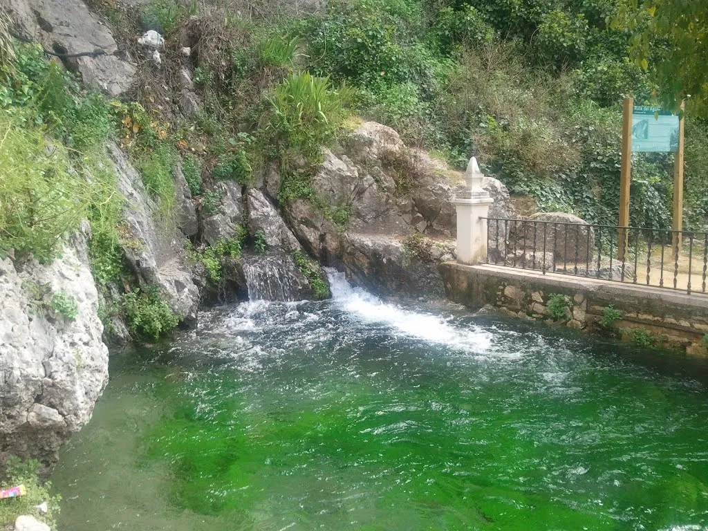 Photo showing: Nacimiento del Río Cabra en el paraje de la Fuente del Río.