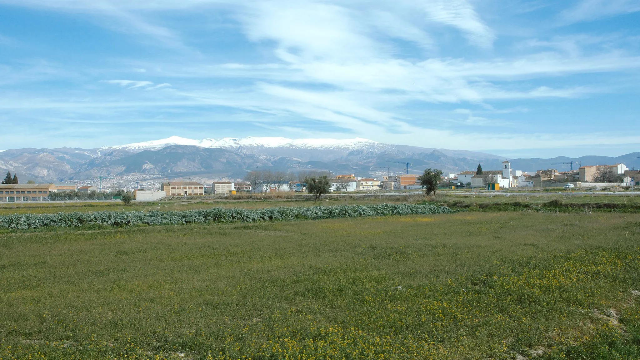 Photo showing: Vista de la localidad de Churriana de la Vega, en la provincia de Granada (España), con Sierra Nevada al fondo.