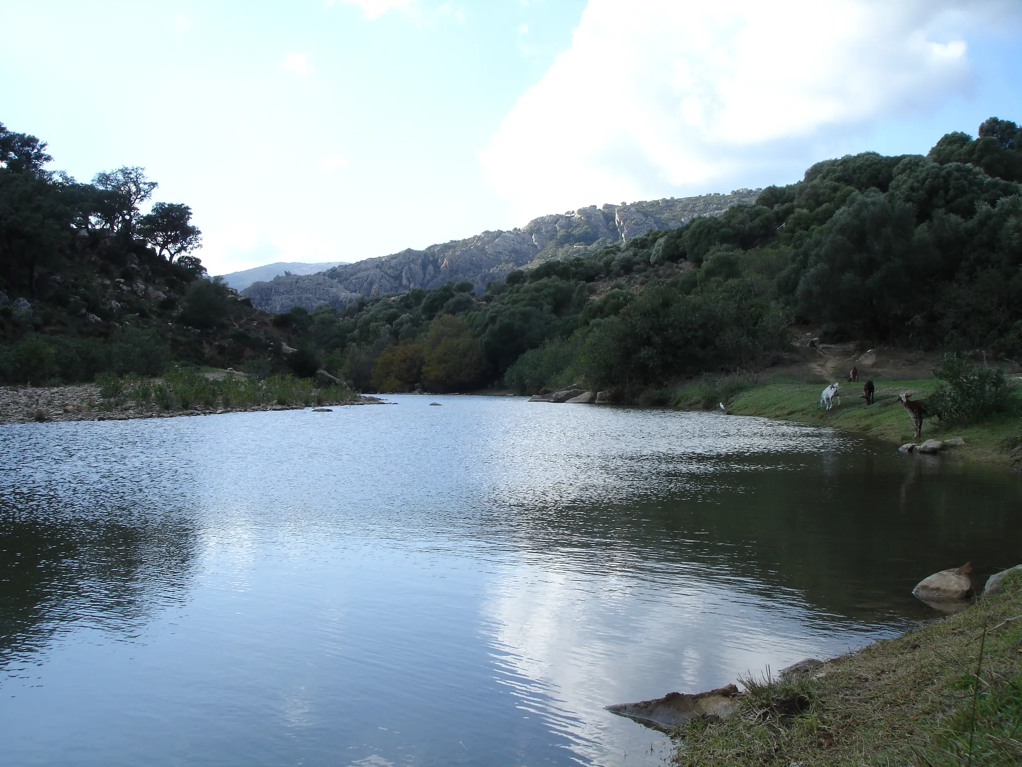 Photo showing: Río Horgarganta